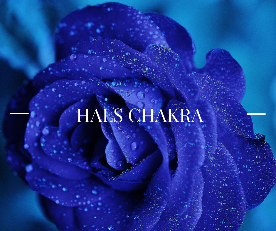 Copy of chakra challenge-5.png