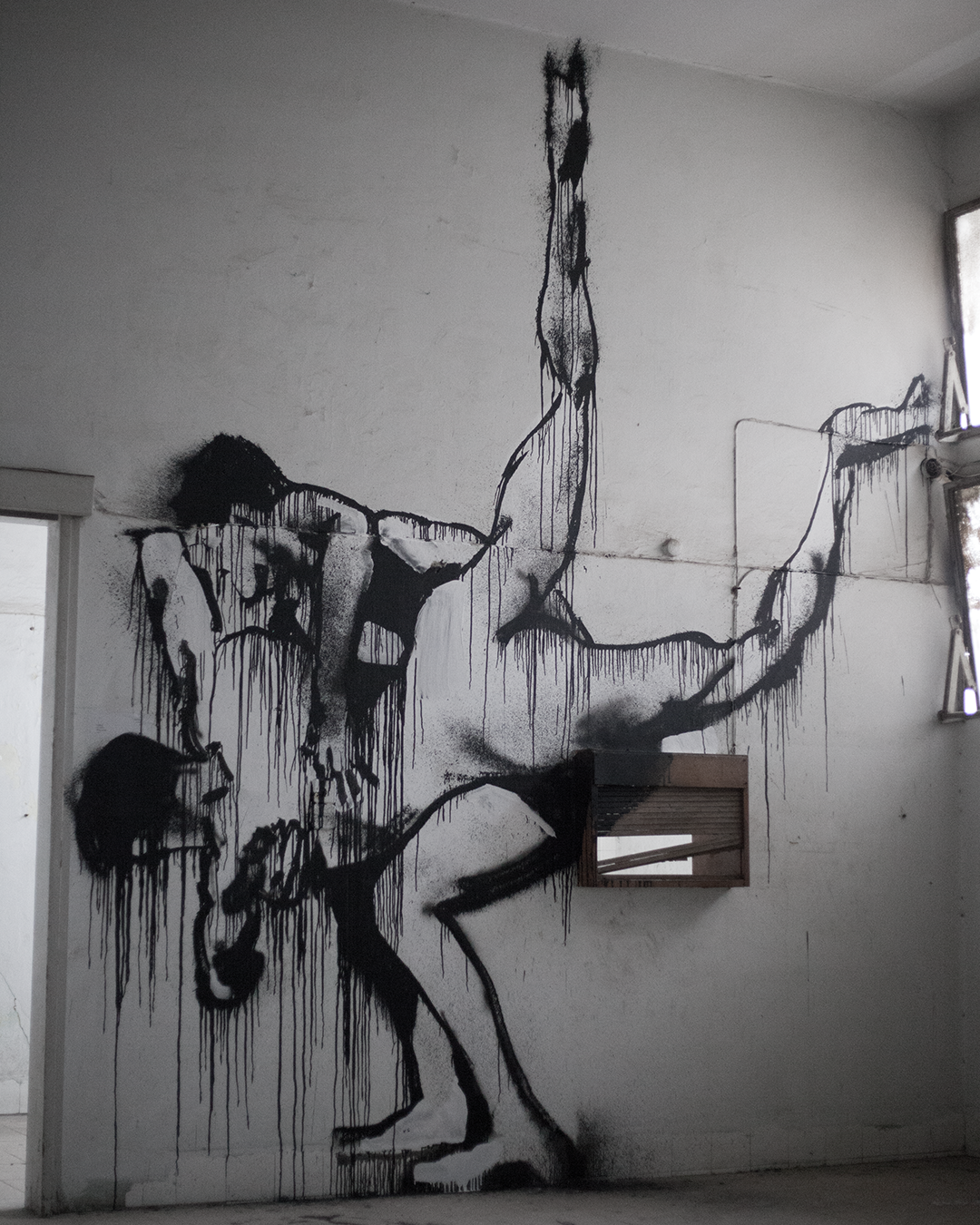 muybridge_1 (2).png
