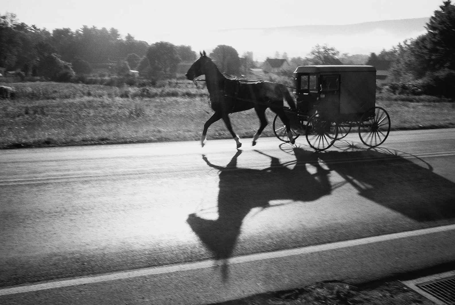Amish People | 2013