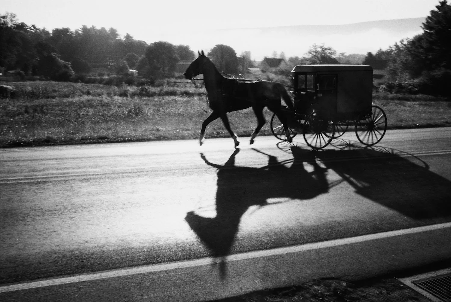 Amish5.jpg