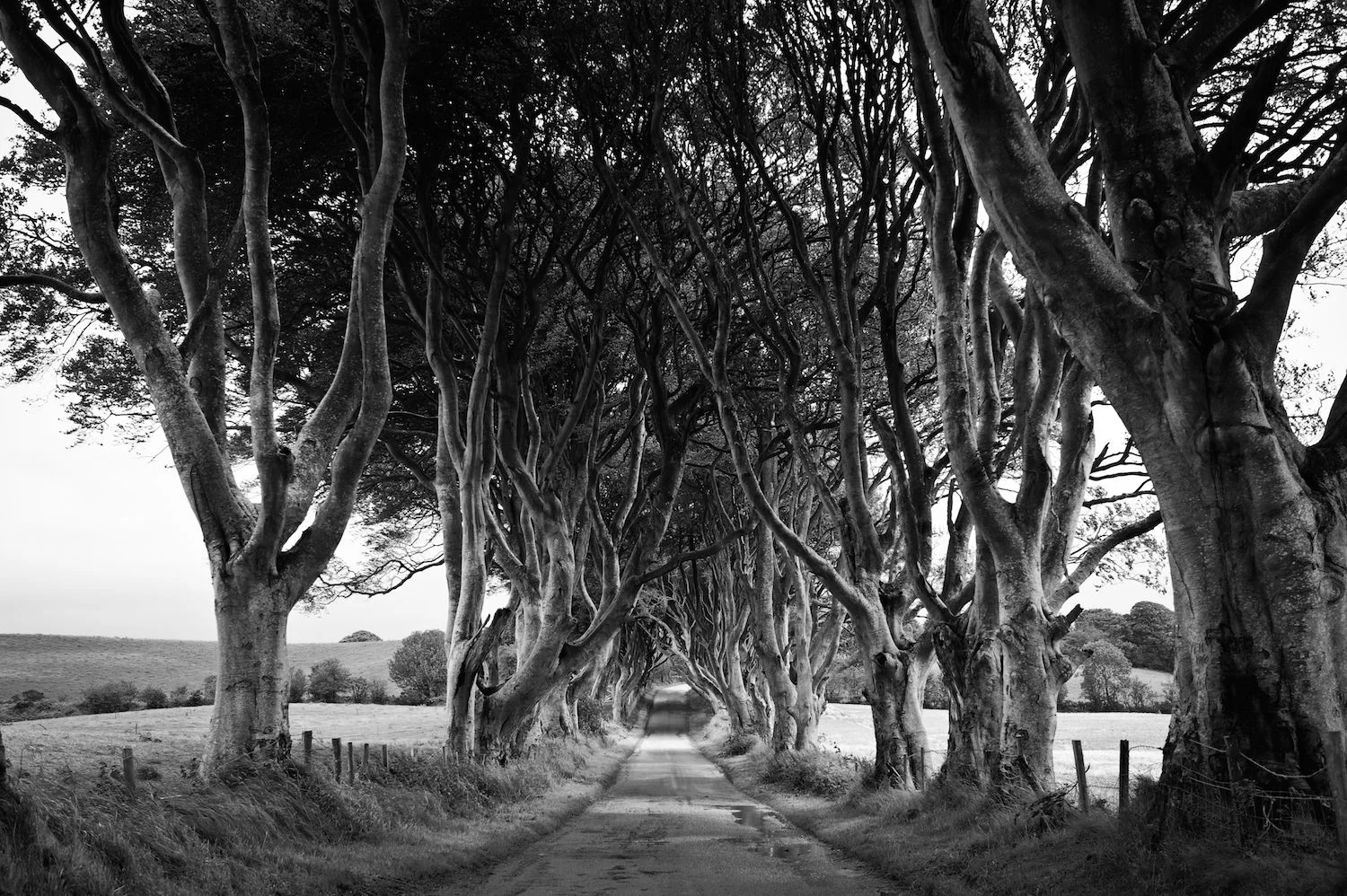 Northern Ireland | 2011