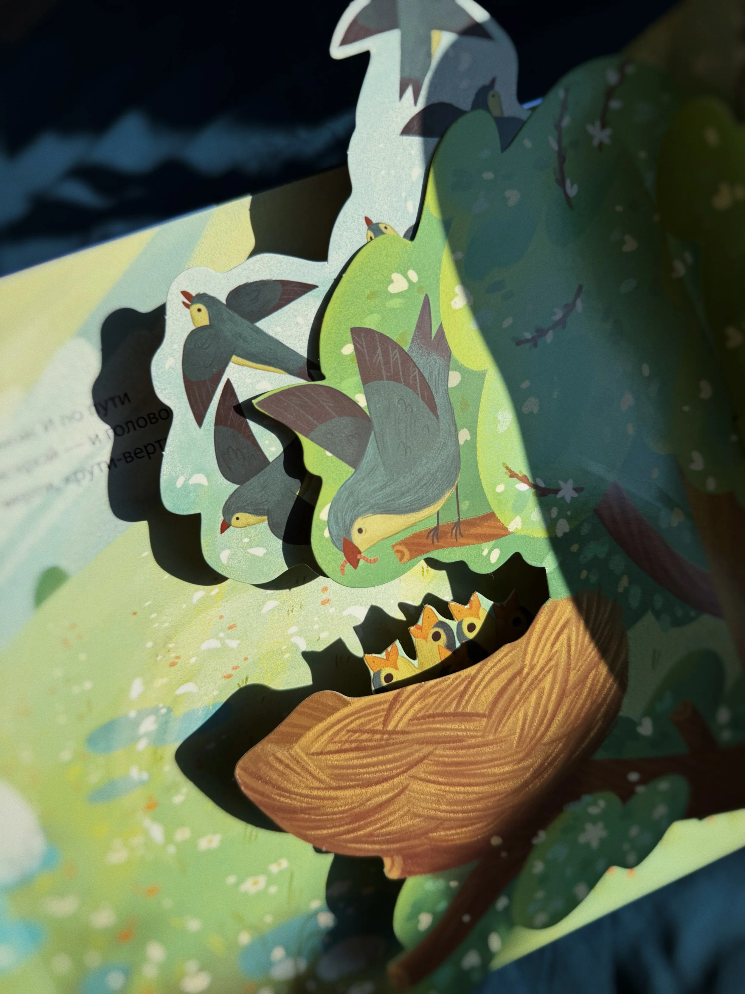 FullSizeRender_VSCO 47.JPG