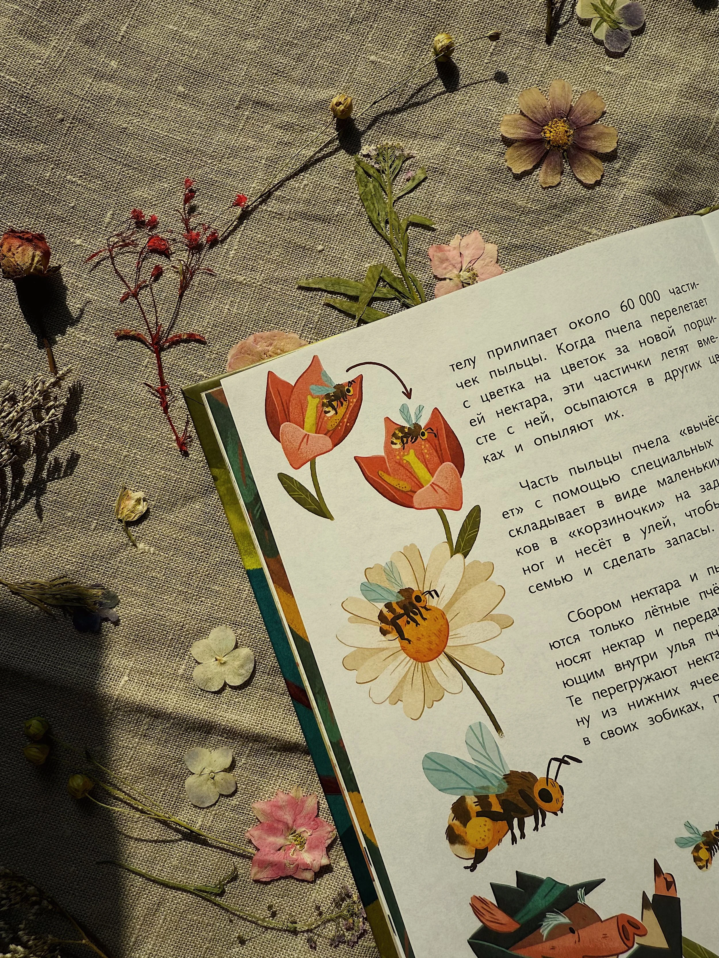 FullSizeRender_VSCO 23.JPG