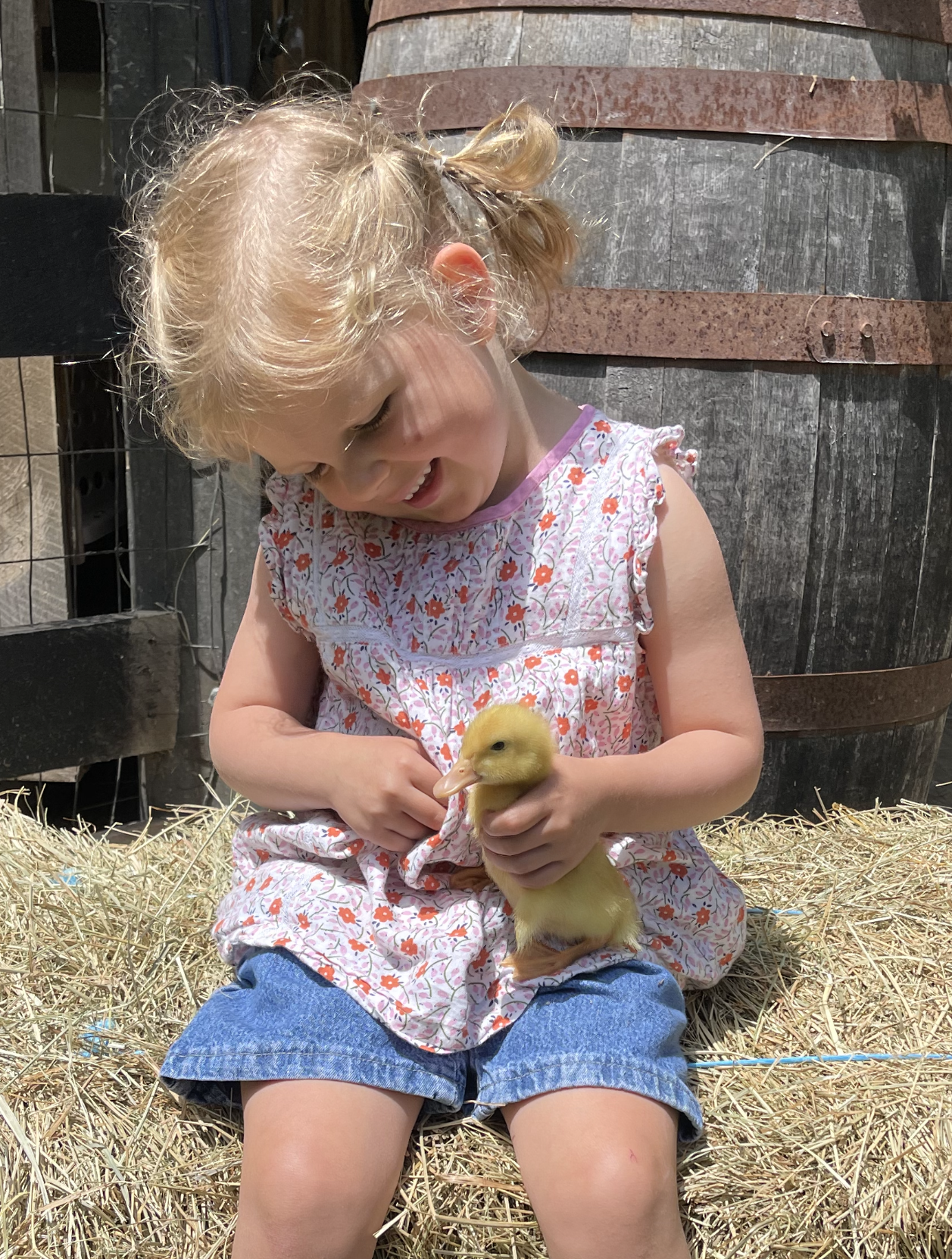 The Duckling Experience 