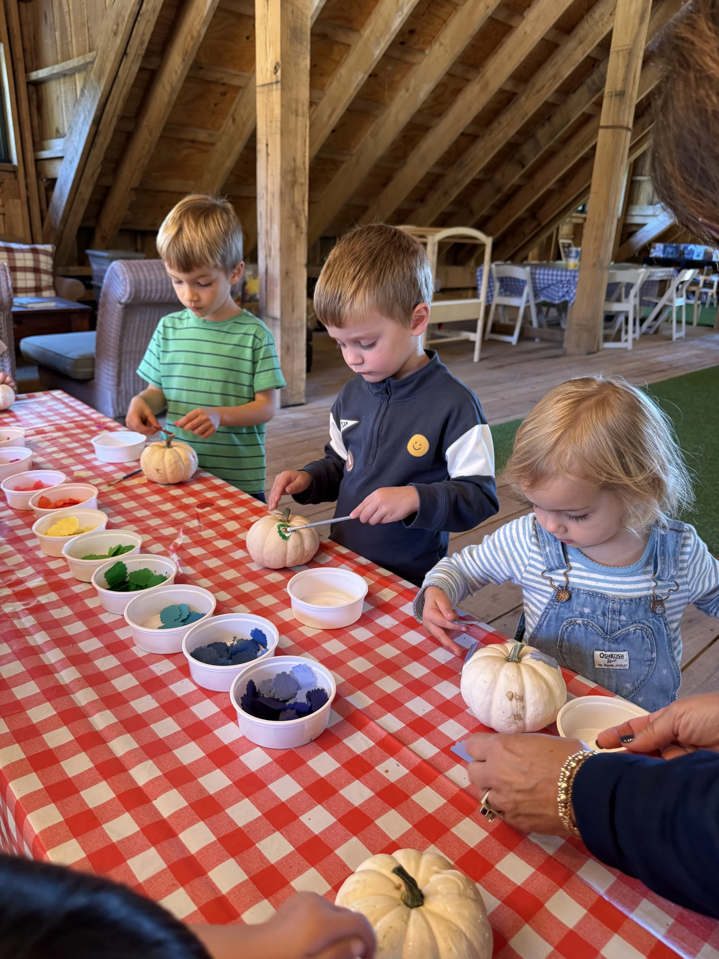 Playgroup Summer Registration