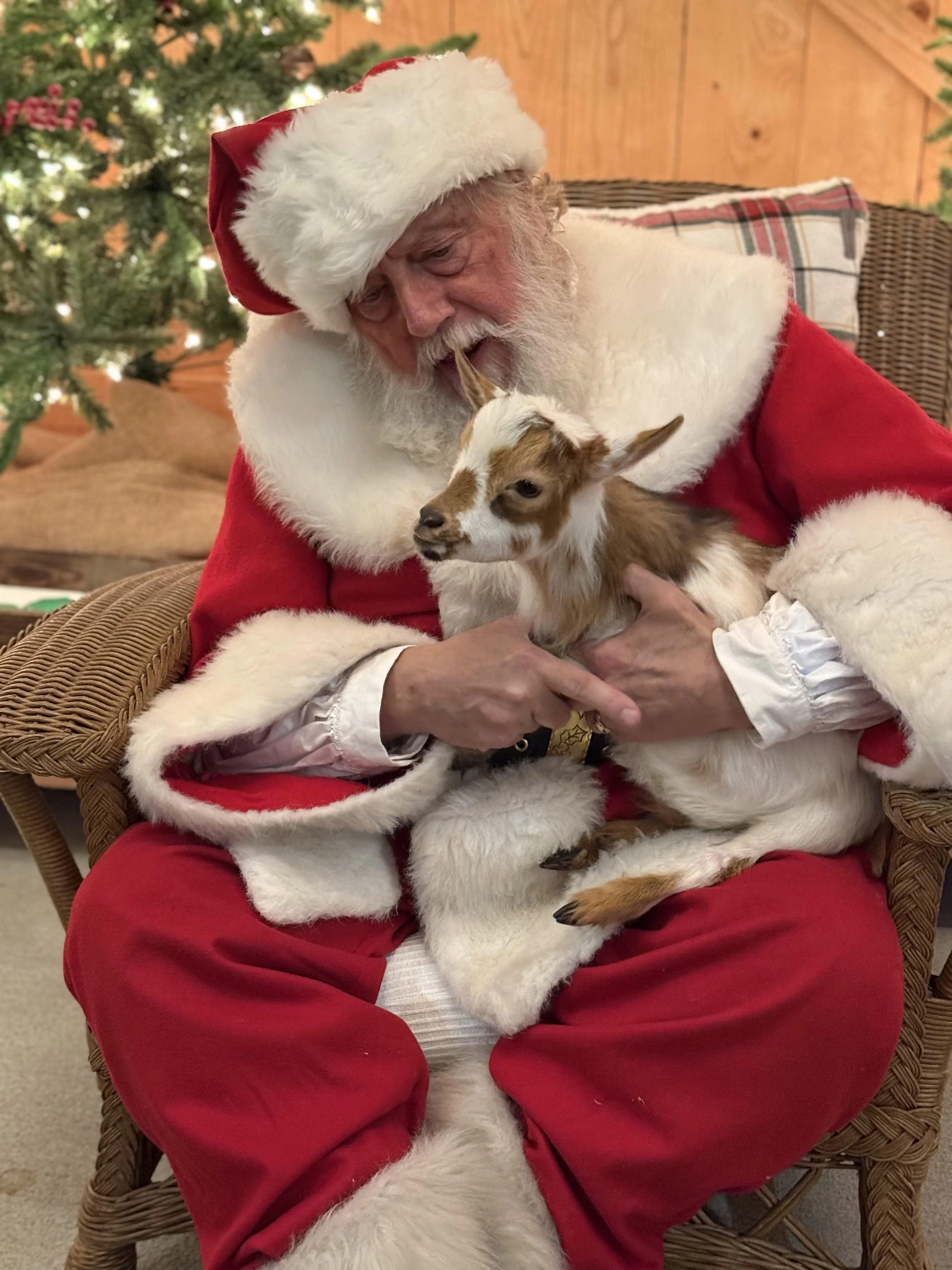 Santa on the Farm🎅🏻