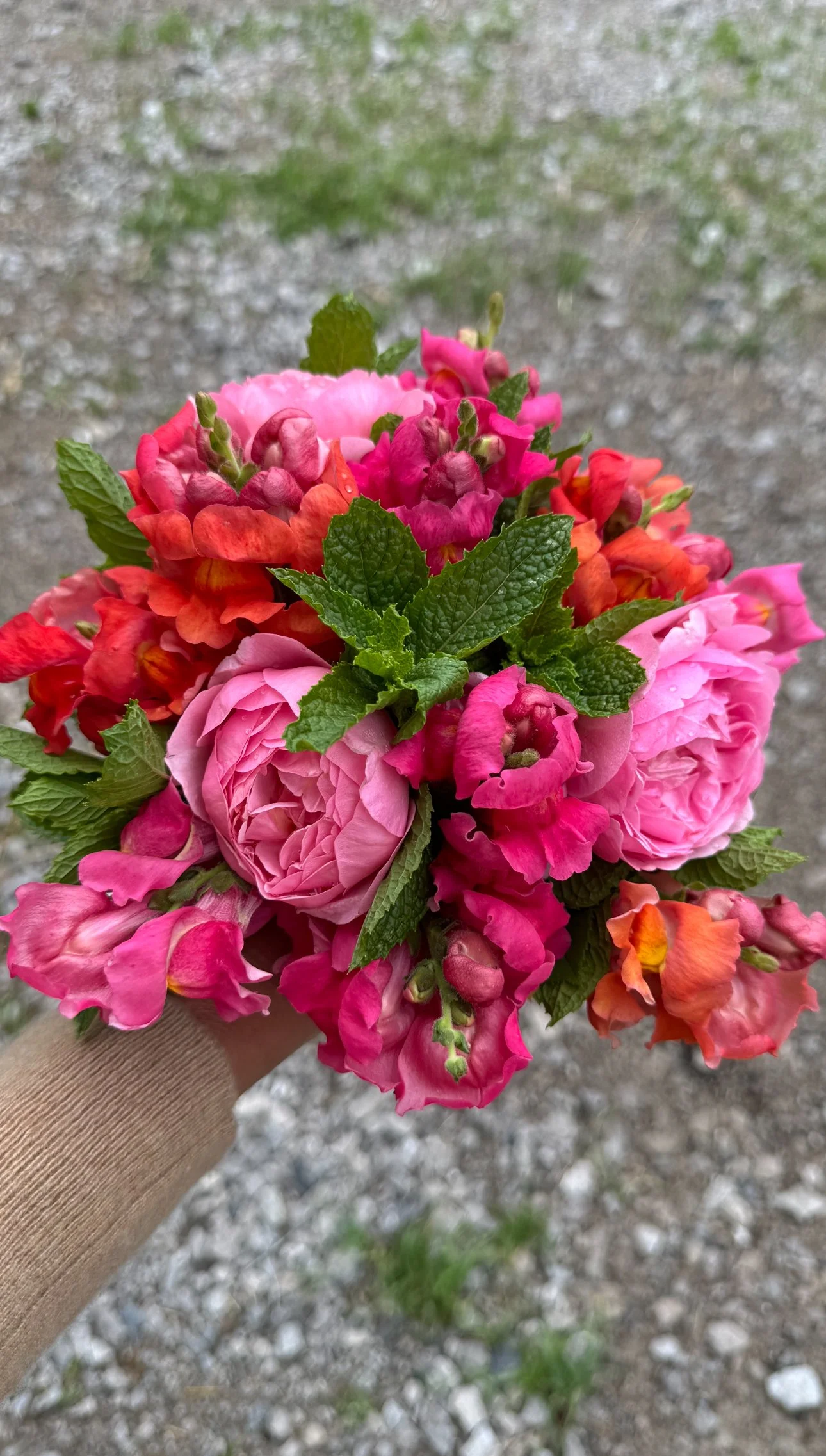 Summer Flower Subscription