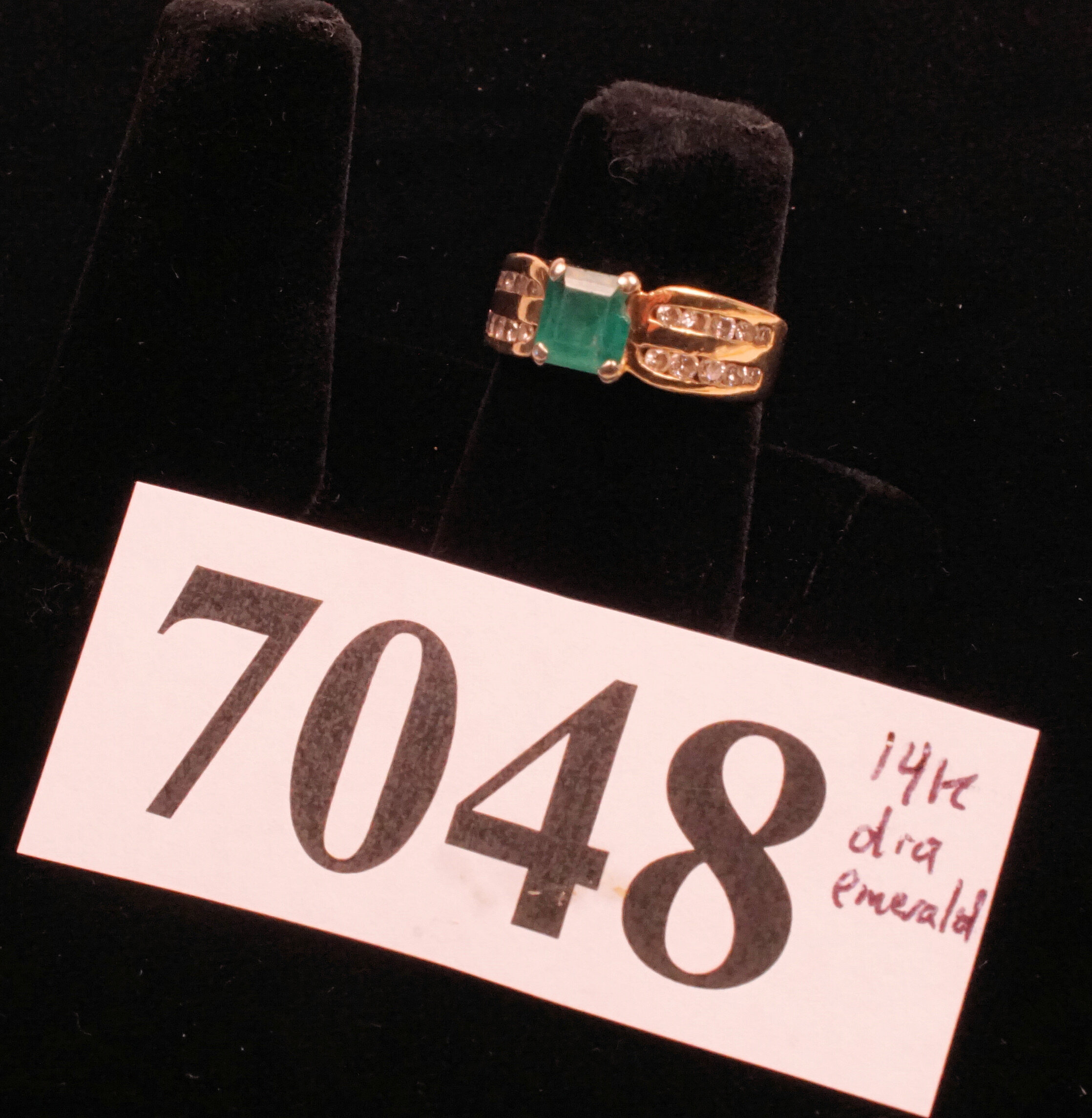 4804.jpg