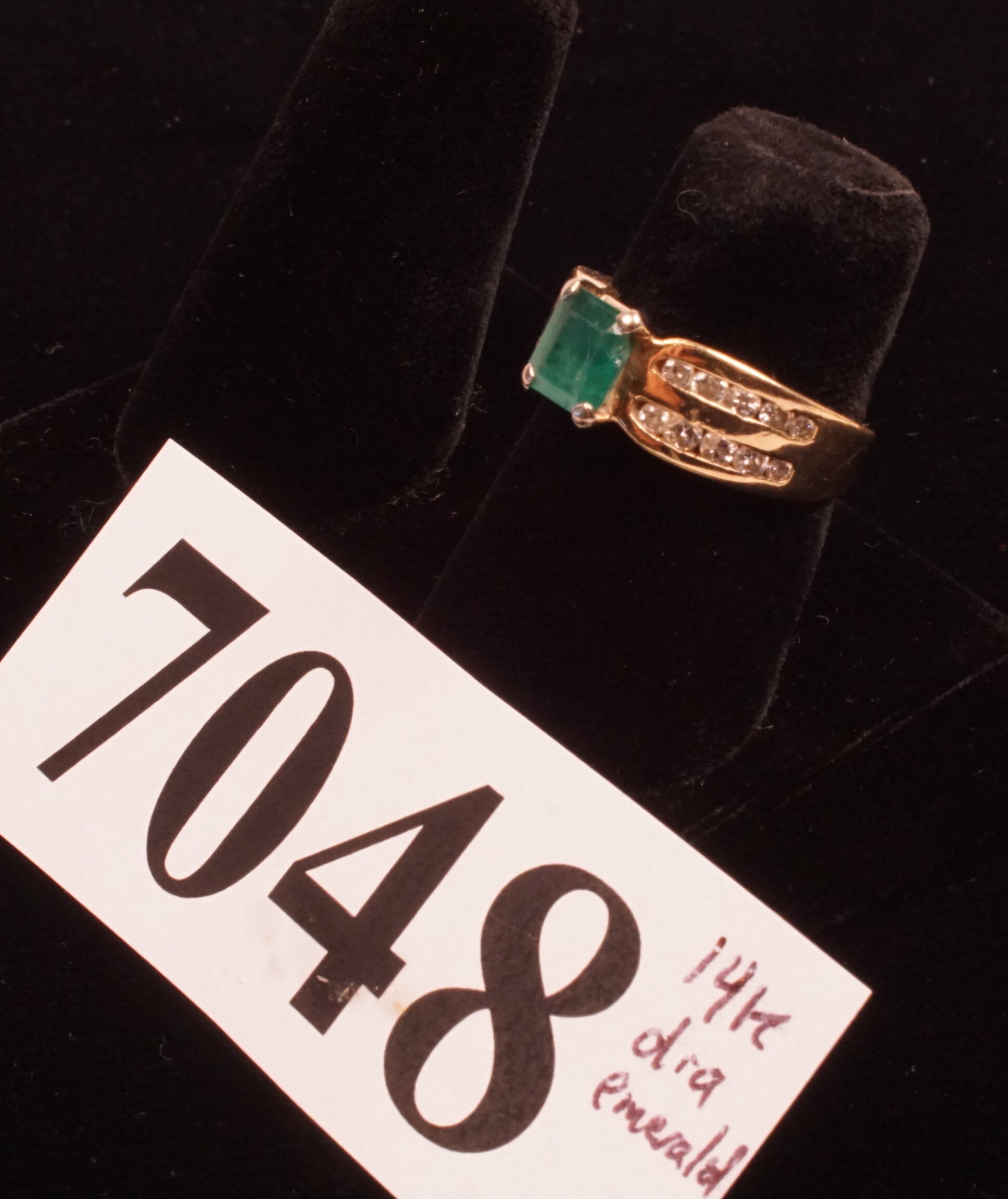 4806.jpg