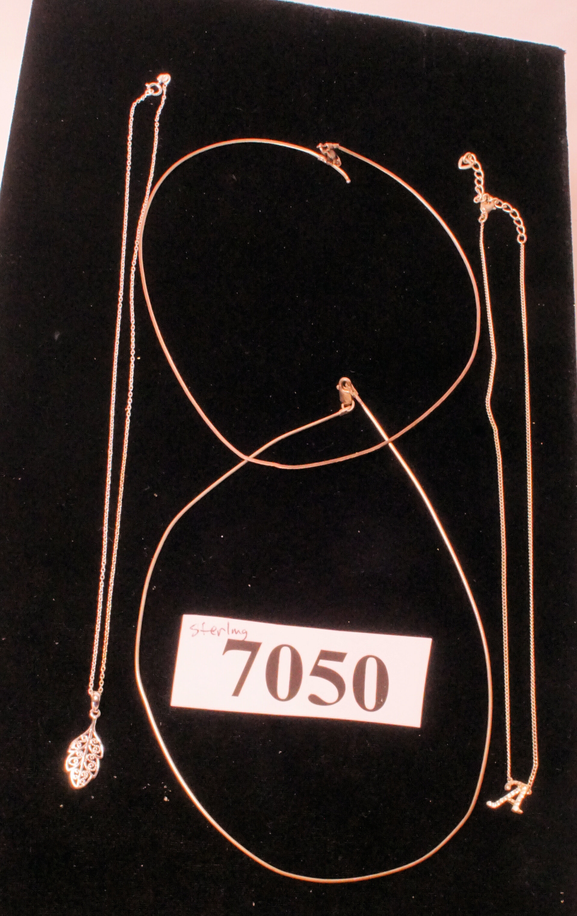 5002.jpg
