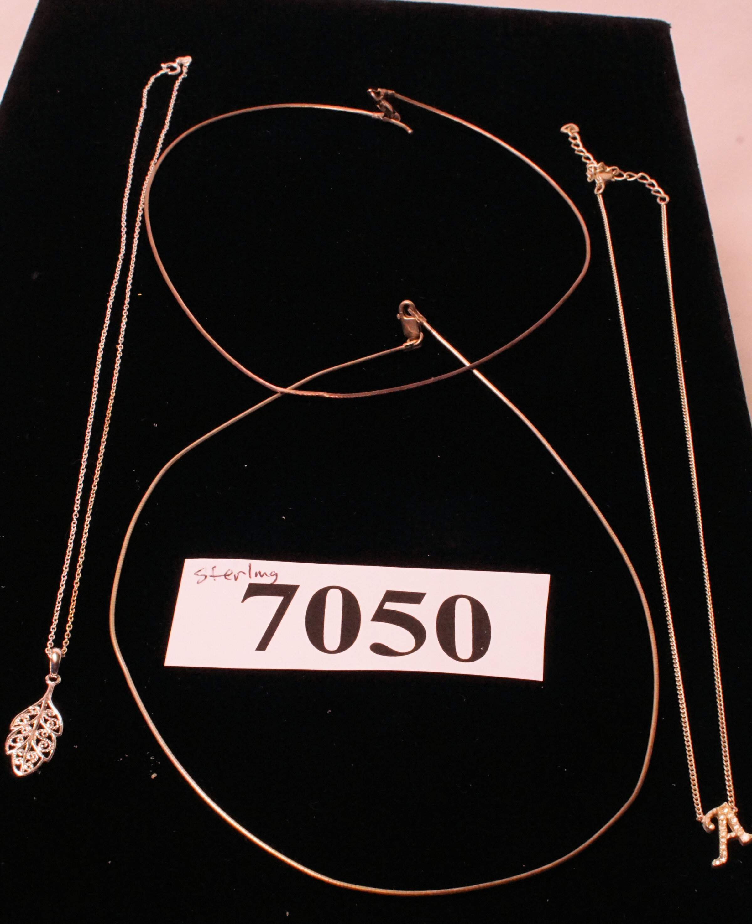 5006.jpg