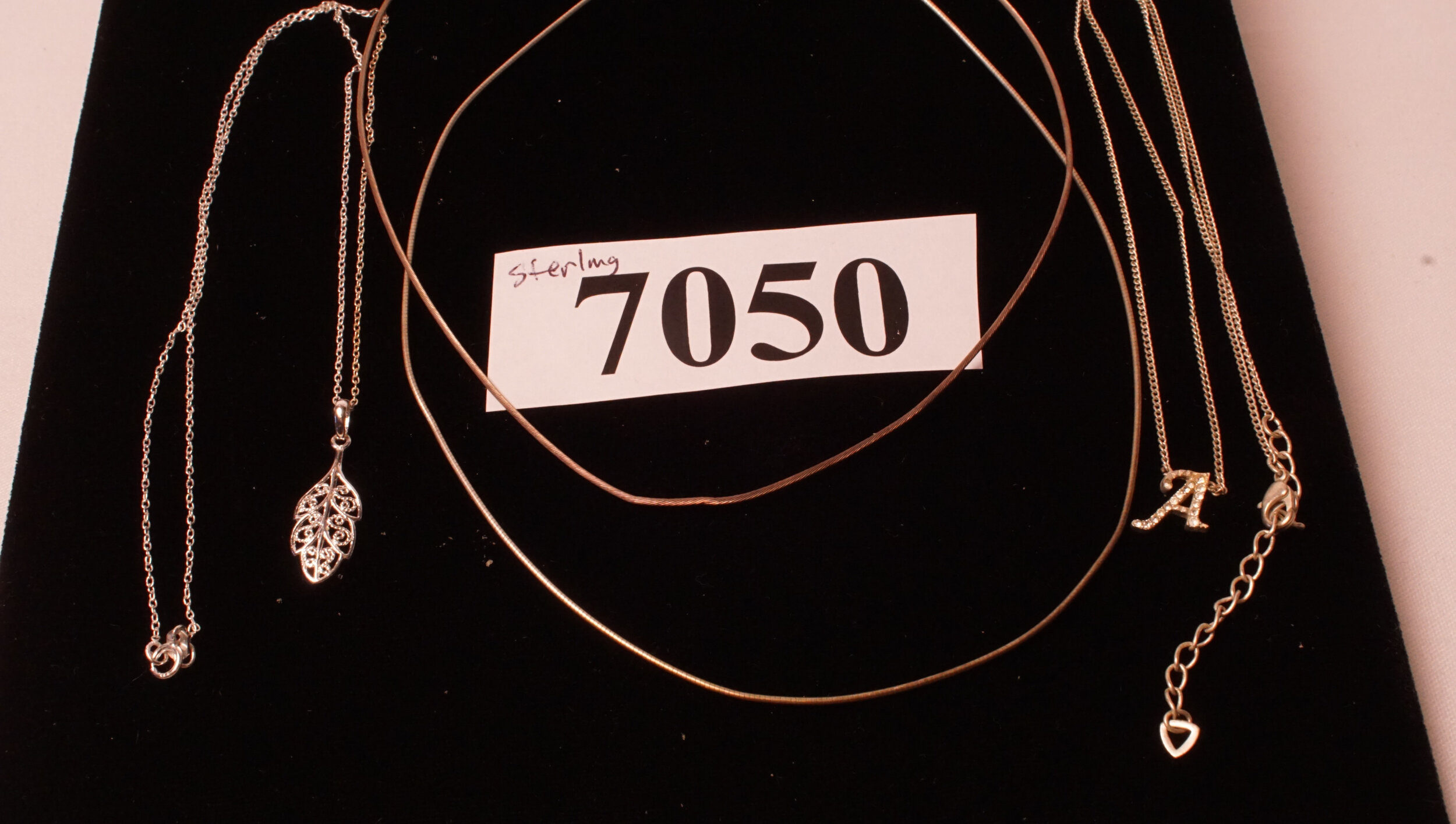 5007.jpg