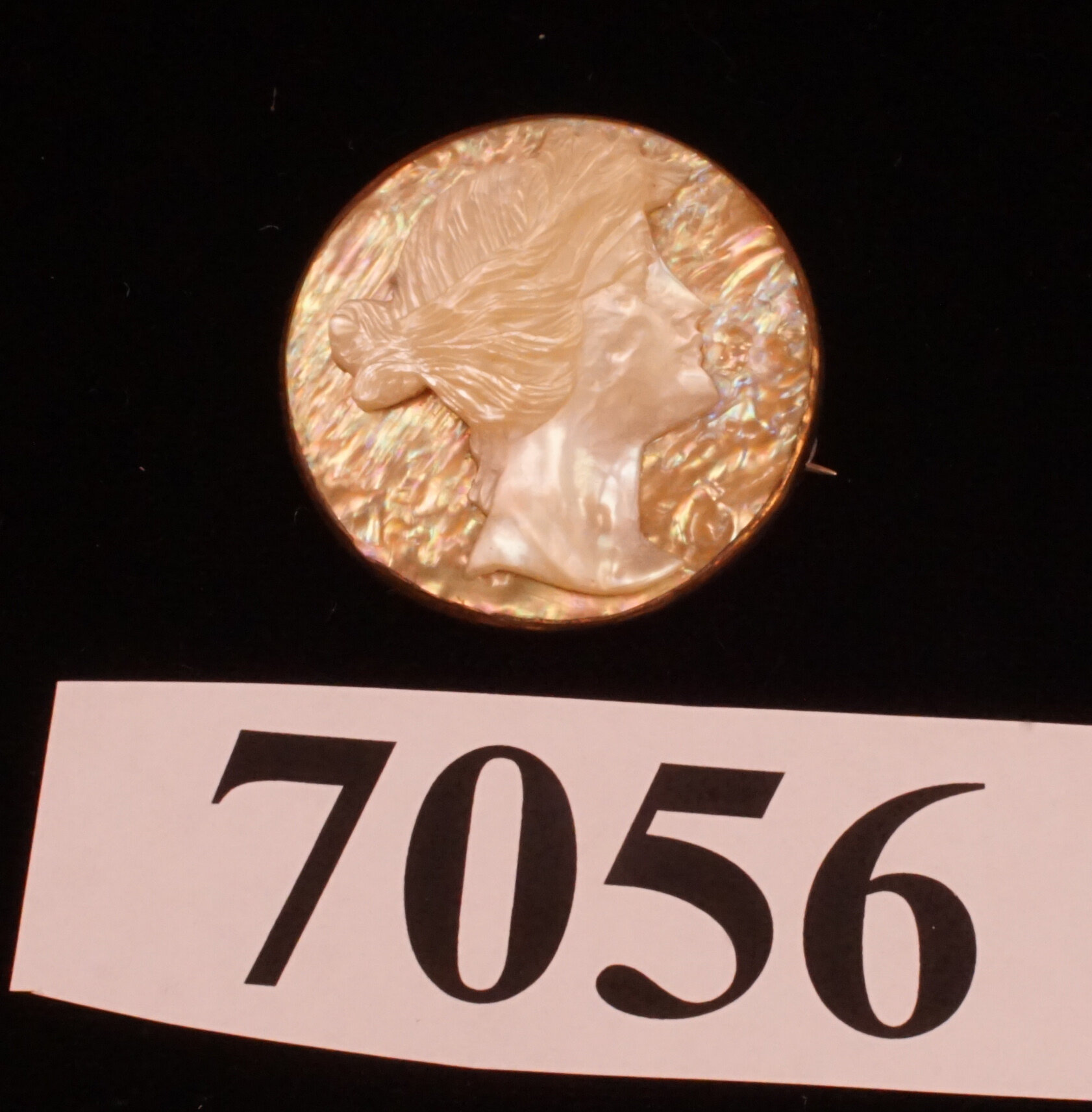 5602.jpg