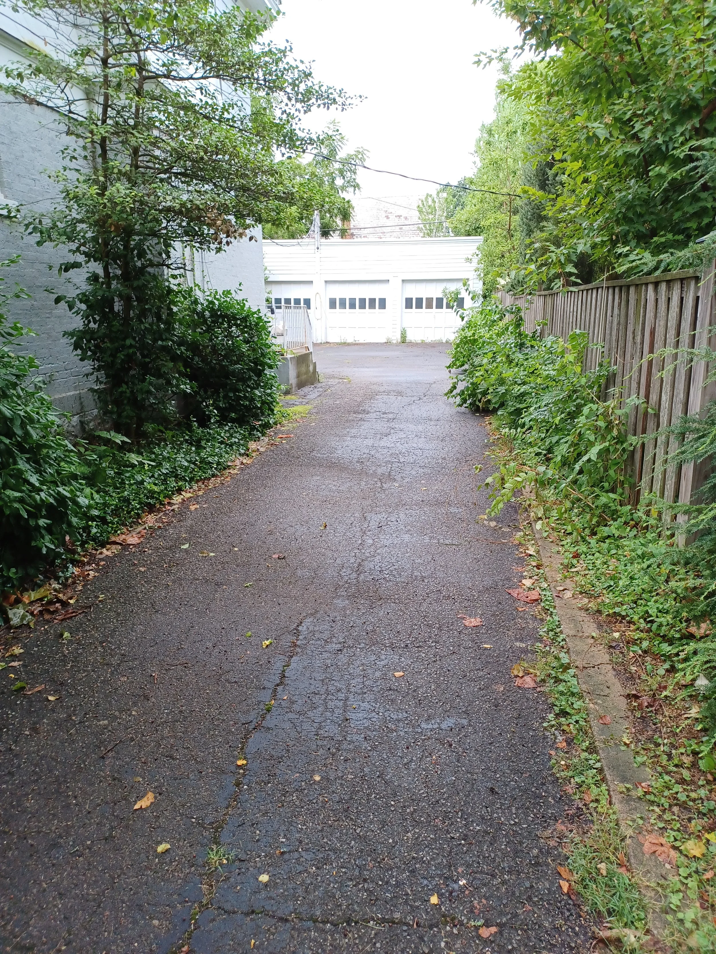 20230807_095412.jpg