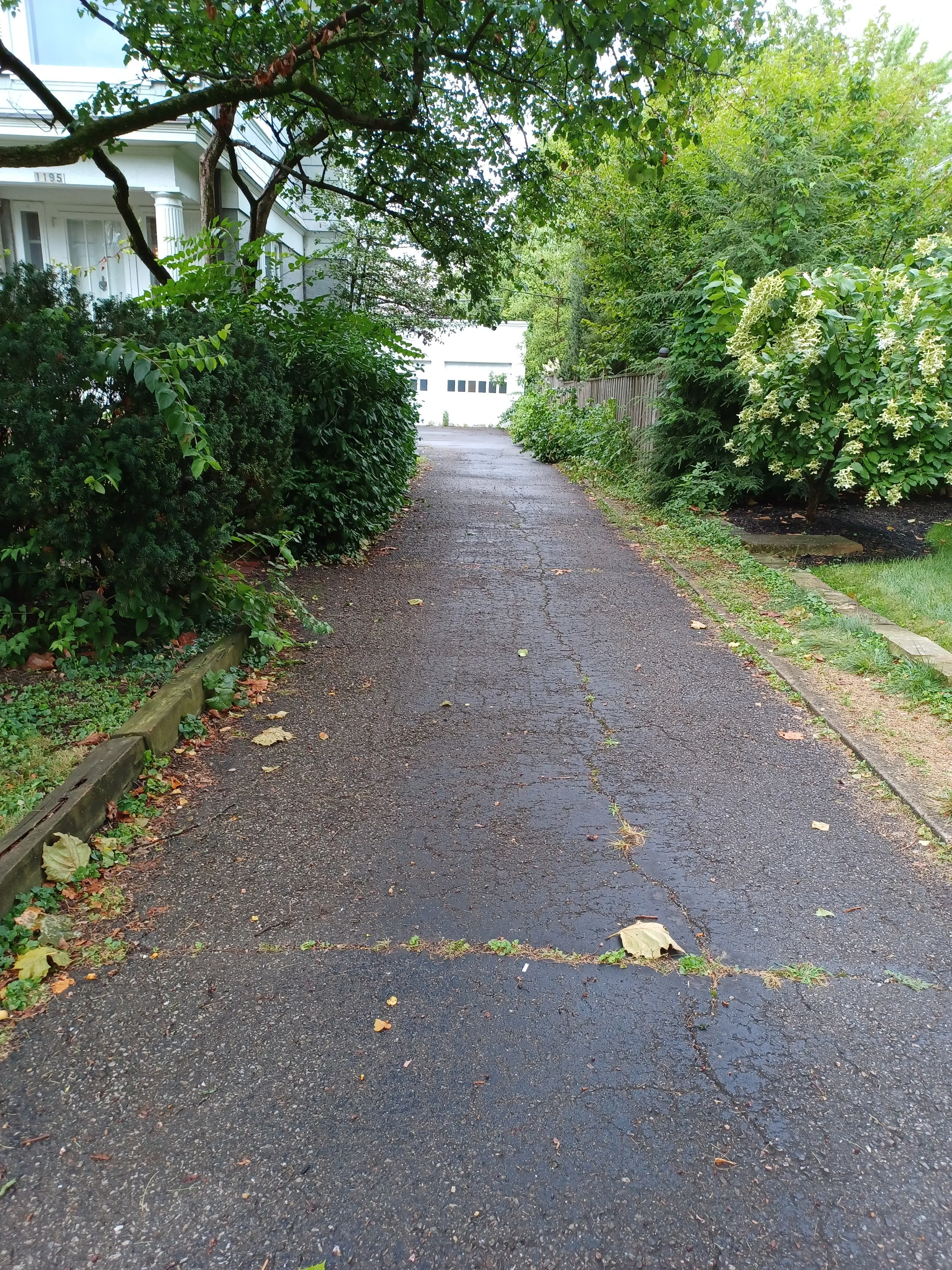 20230807_095401.jpg