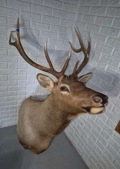 Online Auction in Delaware