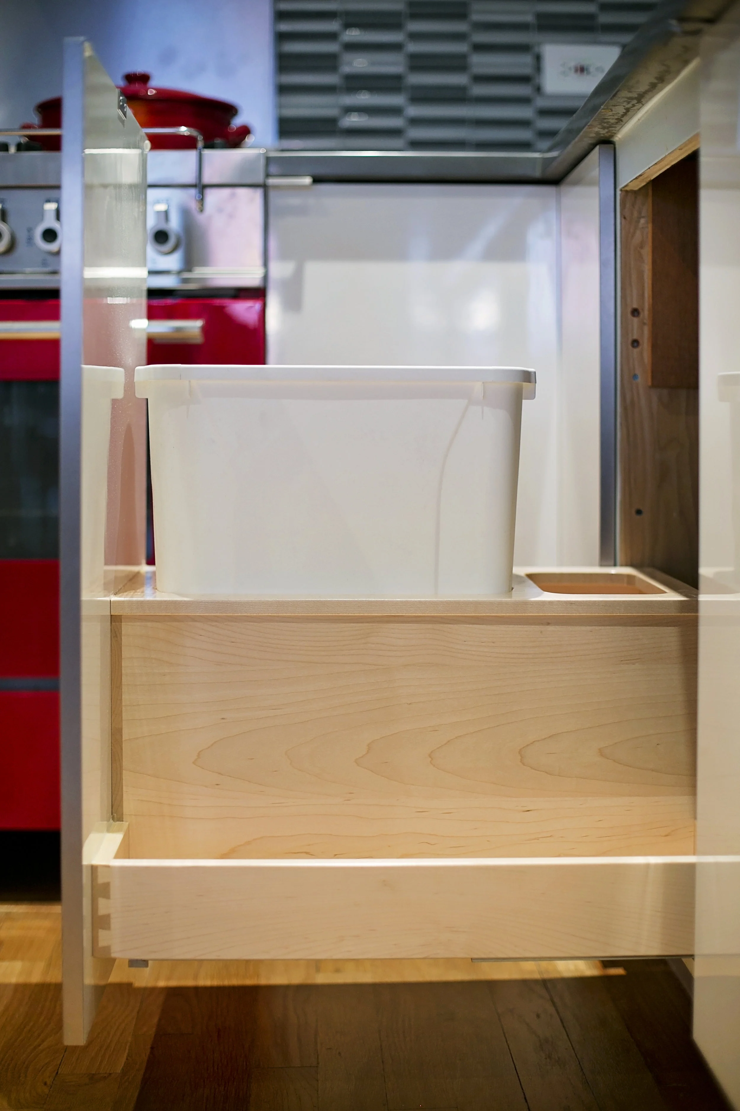 Contemporary Kitchen Remodel by Nadler Cabinet Services — Project 3 project photo