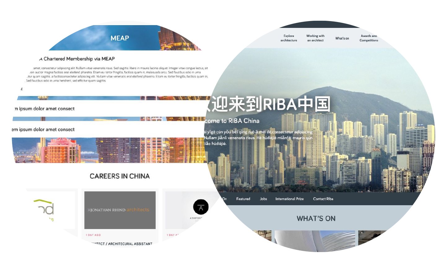 RIBA slide - prototype visual.jpg