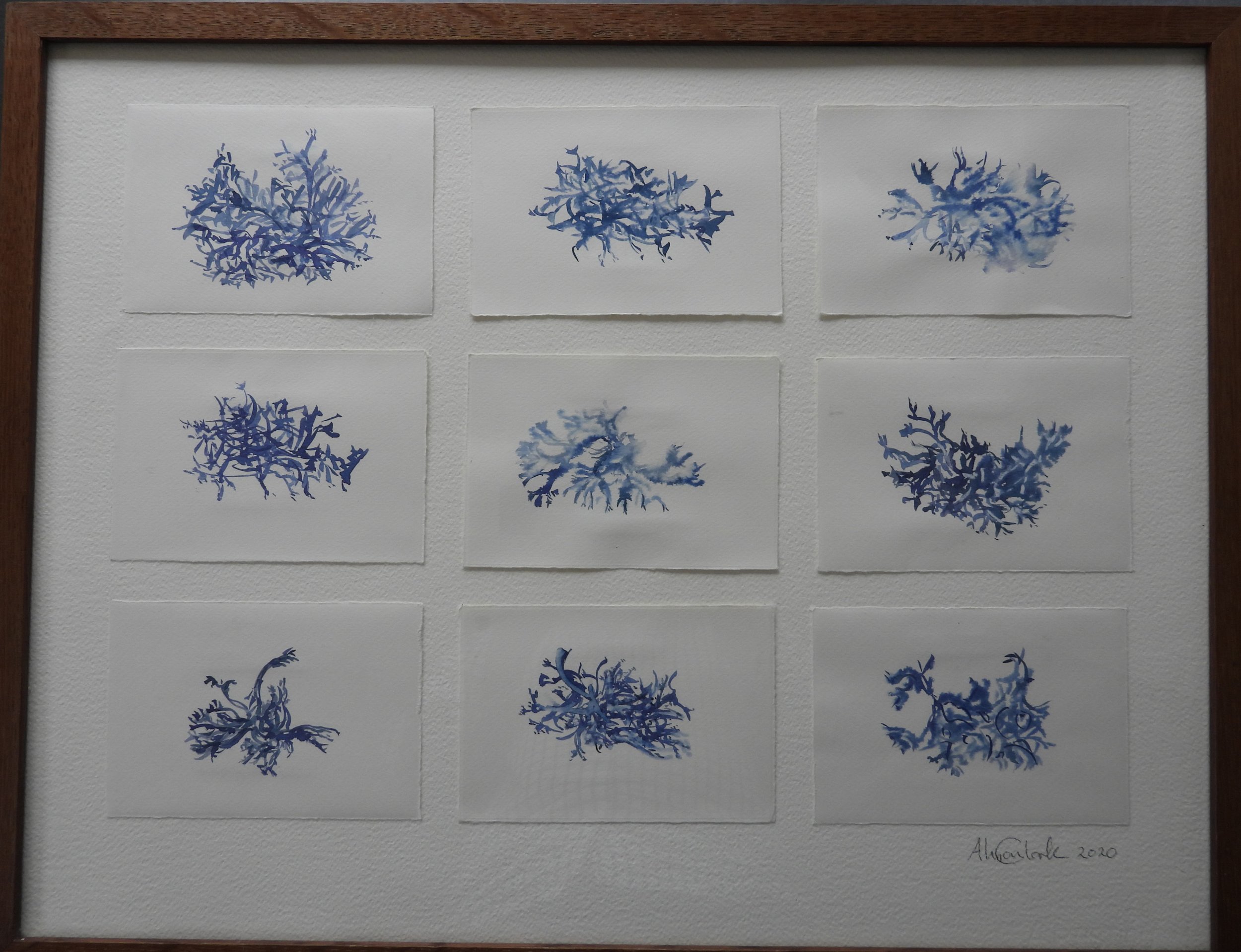  Blue Lichen II  (2020)	Series of 9 ink drawings on fabriano paper in repurposed frame. 68 x53cm. £350