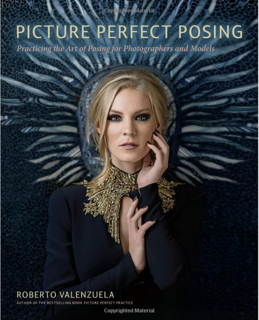 Picture-Perfect-Posing-Book-cover-828x1024.png
