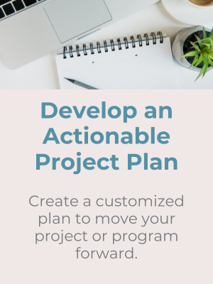 Develop an Actionable Project Plan