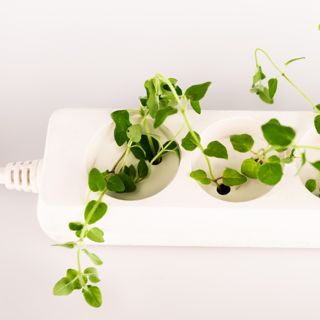 Grounded in Current Reality