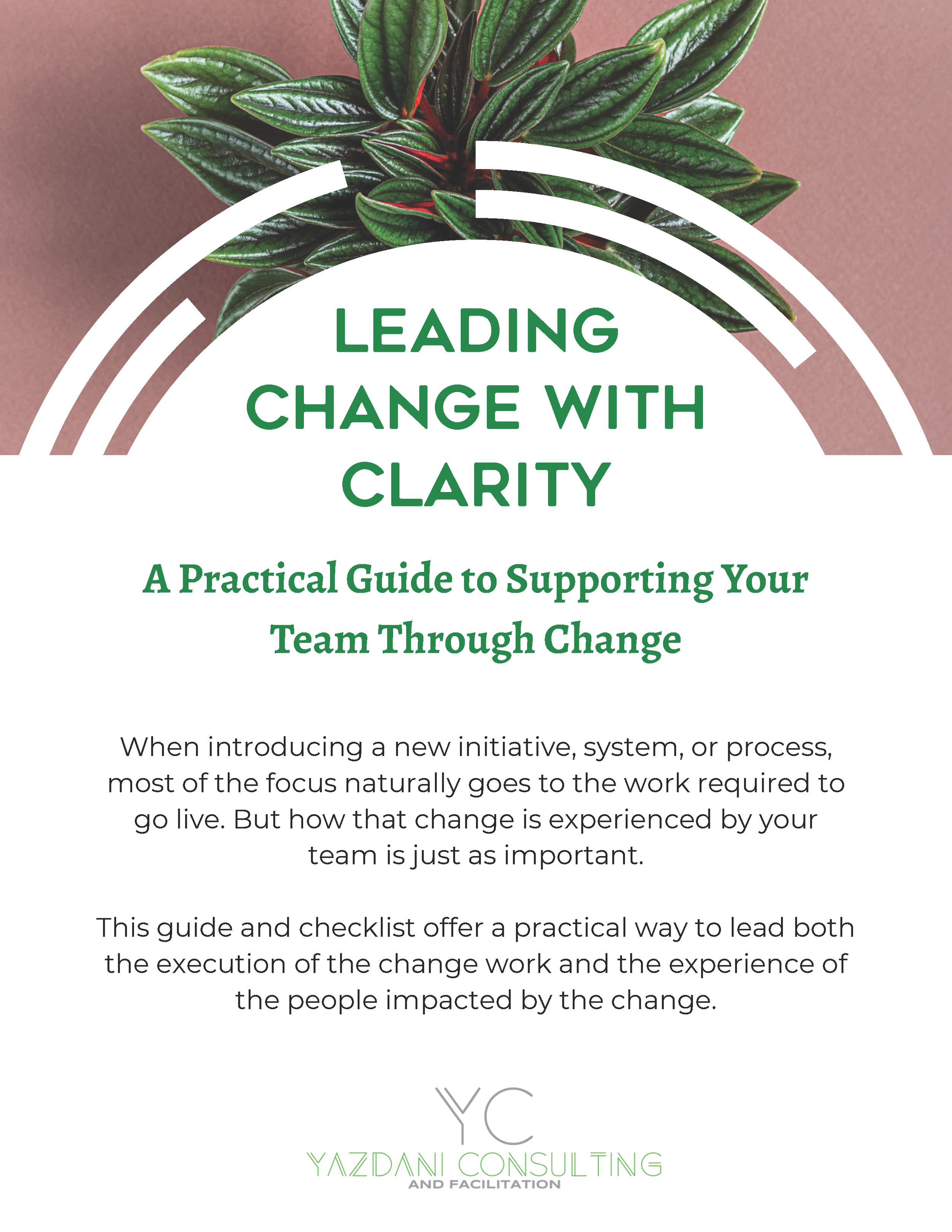 Leading Change with Clarity
