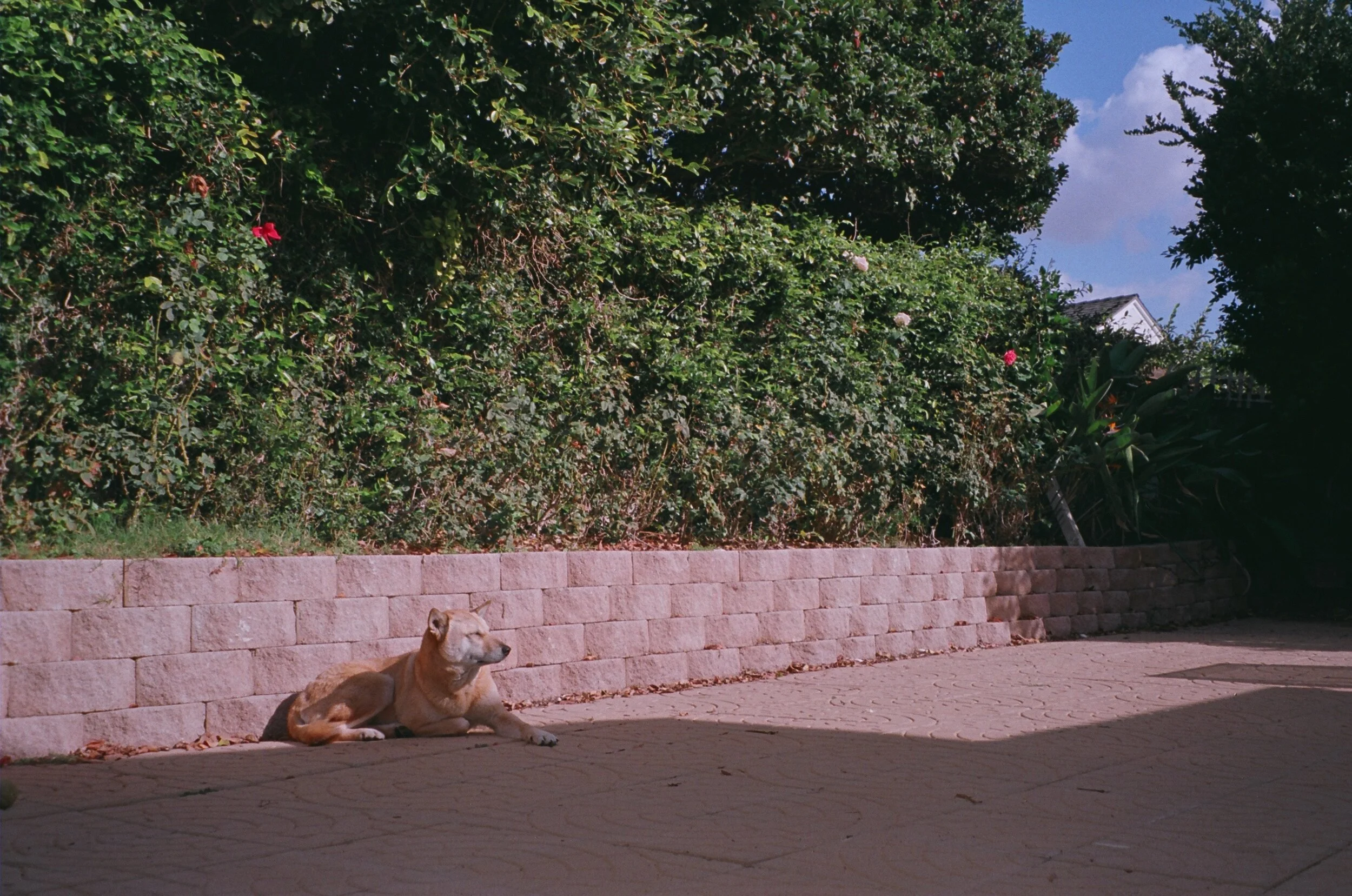 25760019 2.JPG