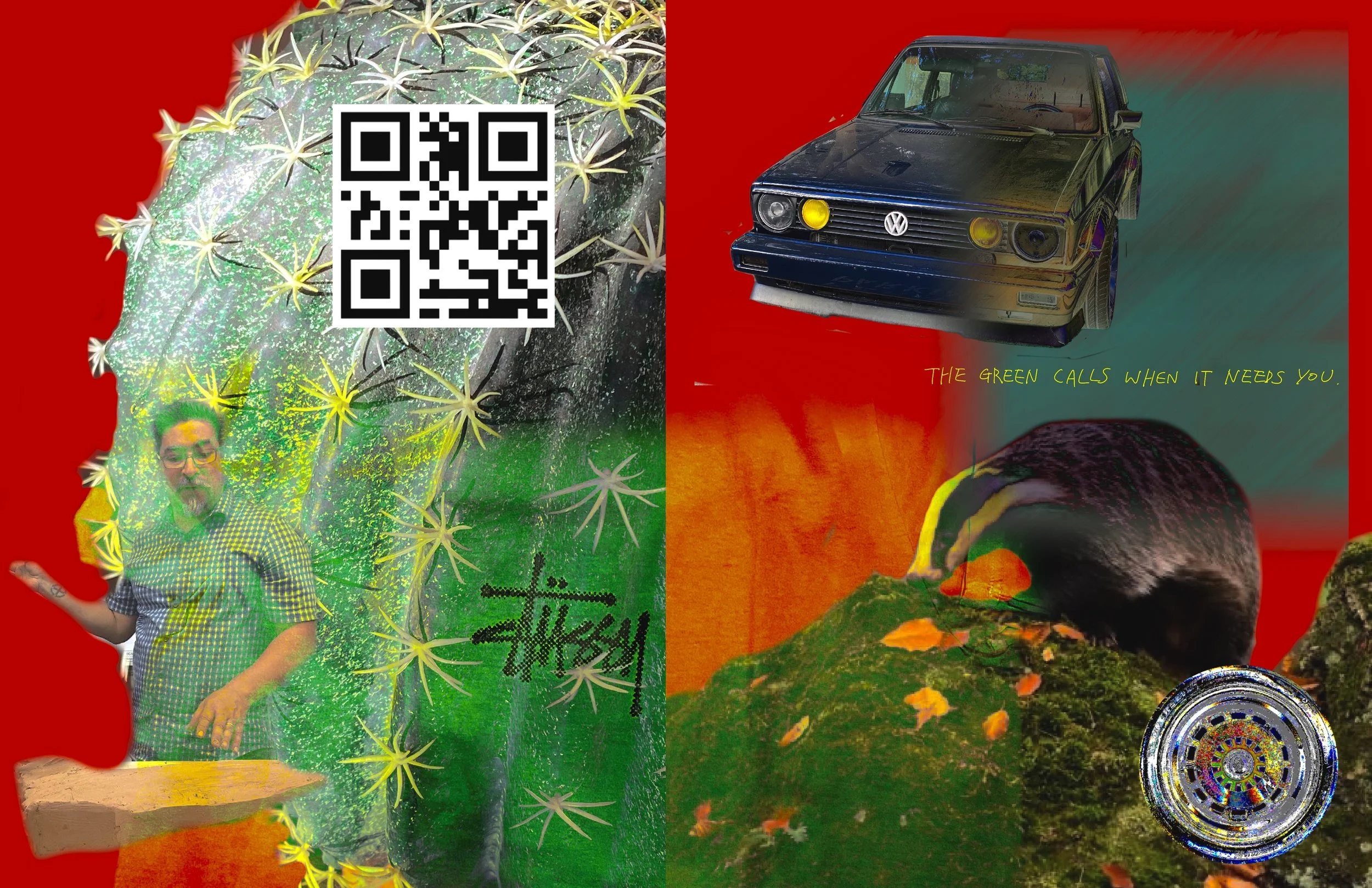 118622EB-BA75-48FF-915B-574752A0AE9E.jpeg