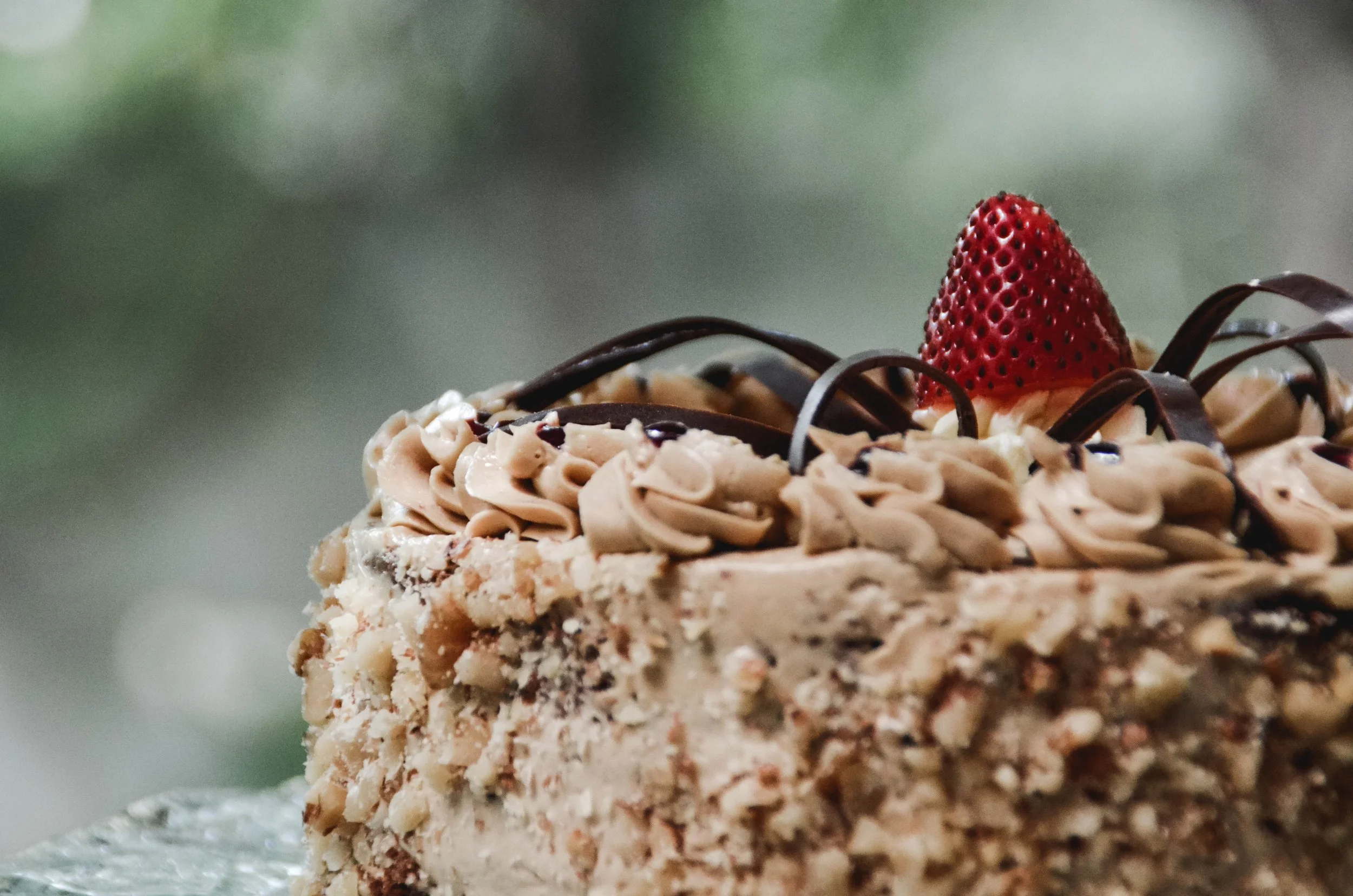 berry-cake-candy-1120970.jpg