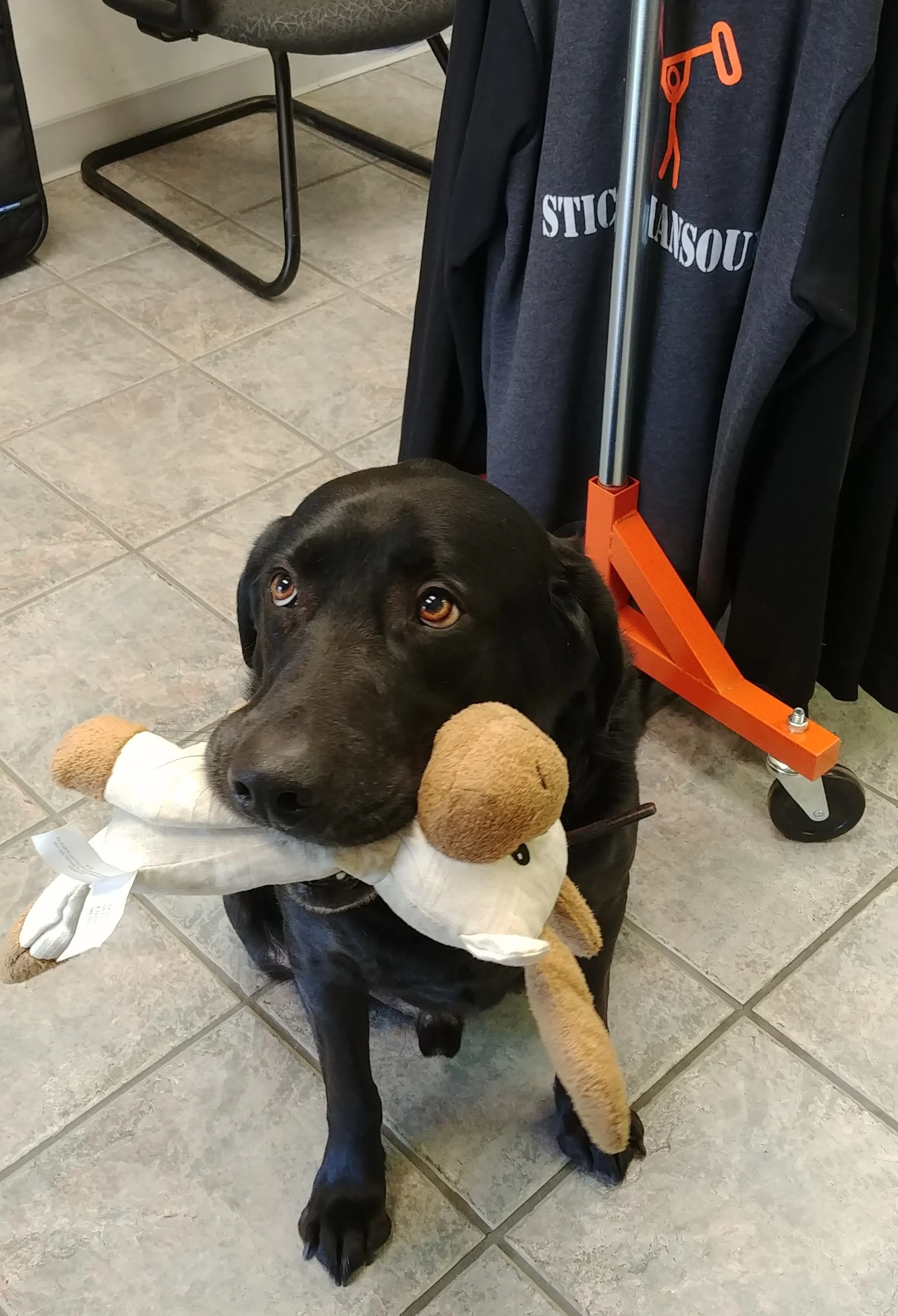 Bonus Newsletter Photo! This is Jack and his Moose. John came to pick up gear and brought his four legged friend in to visit. It was a good day!