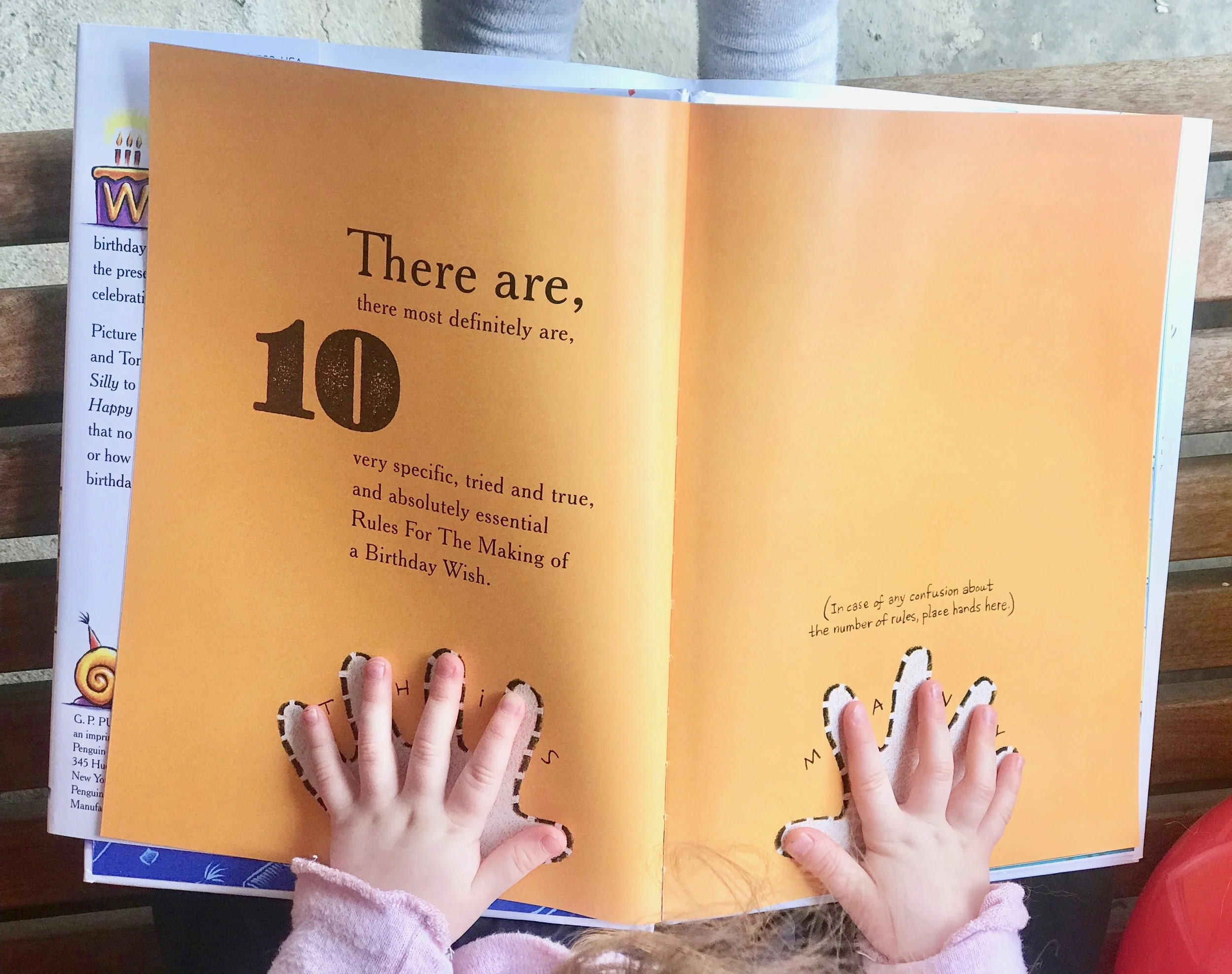 Ten Rules of the Birthday Wish by Beth Ferry and Tom Lichtenheld
