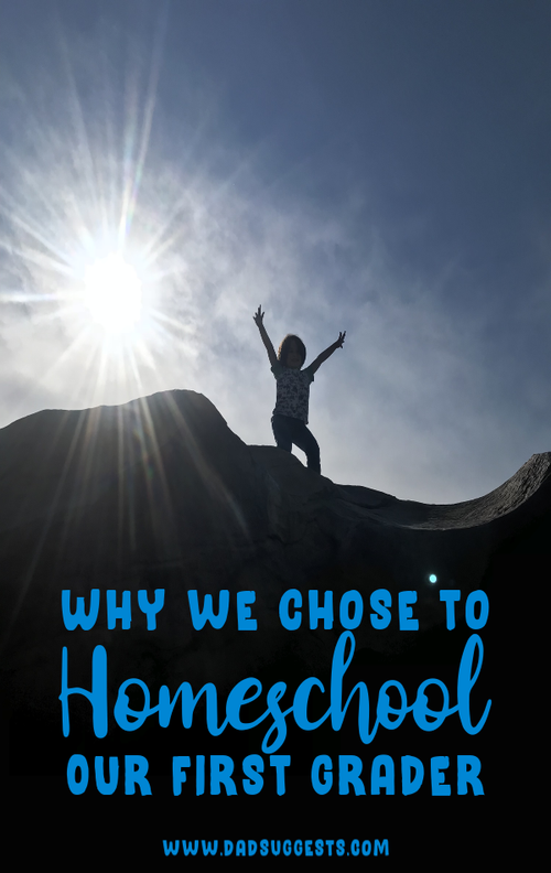 The Reason We Chose To Homeschool our First Grader | Dad Suggests