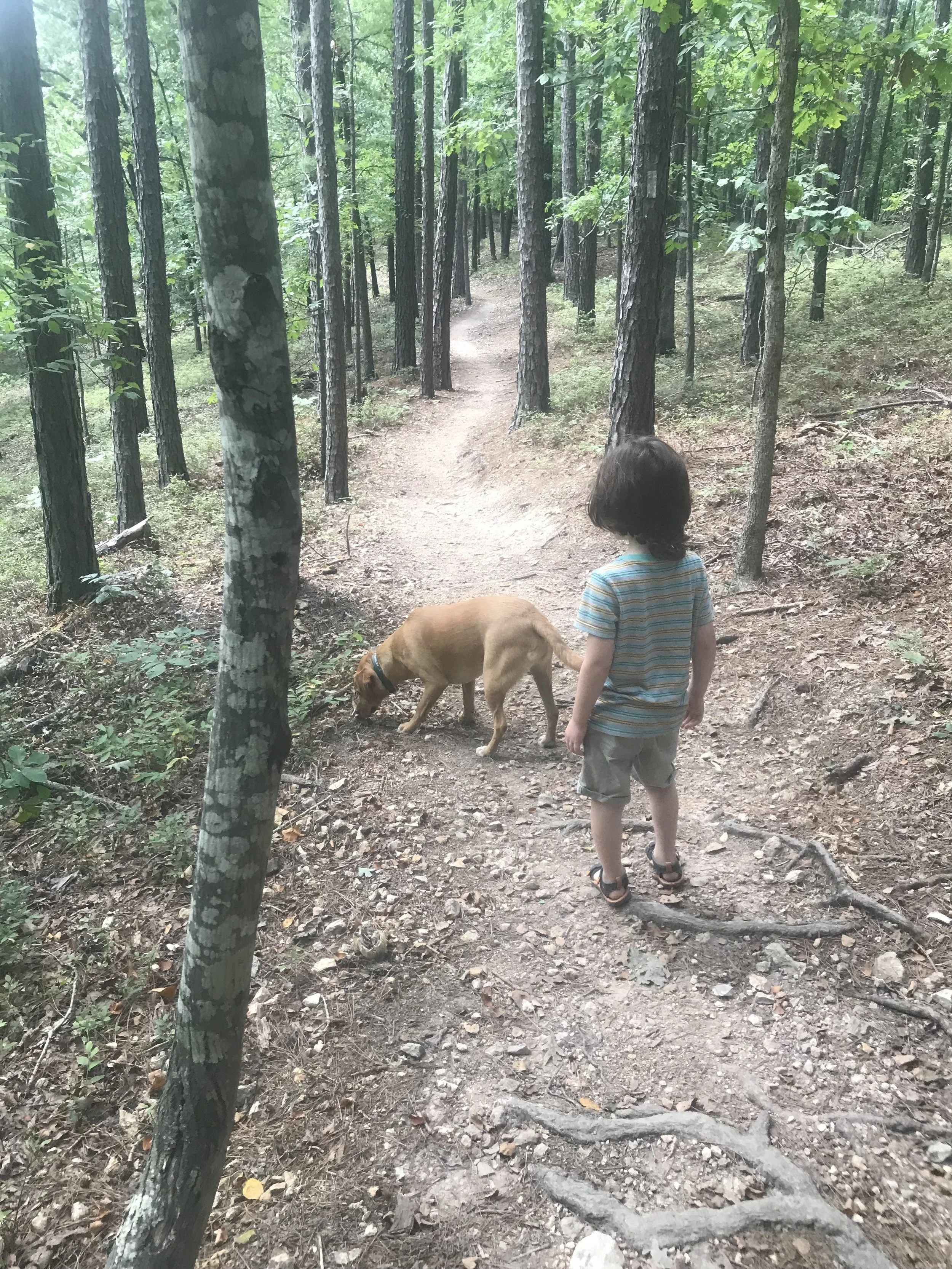 why we are going to homeschool our first grader.jpeg