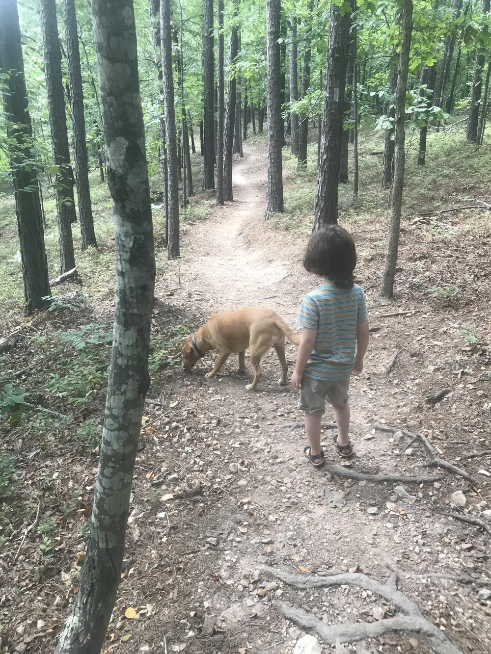 The Reason We Chose To Homeschool our First Grader | Dad Suggests