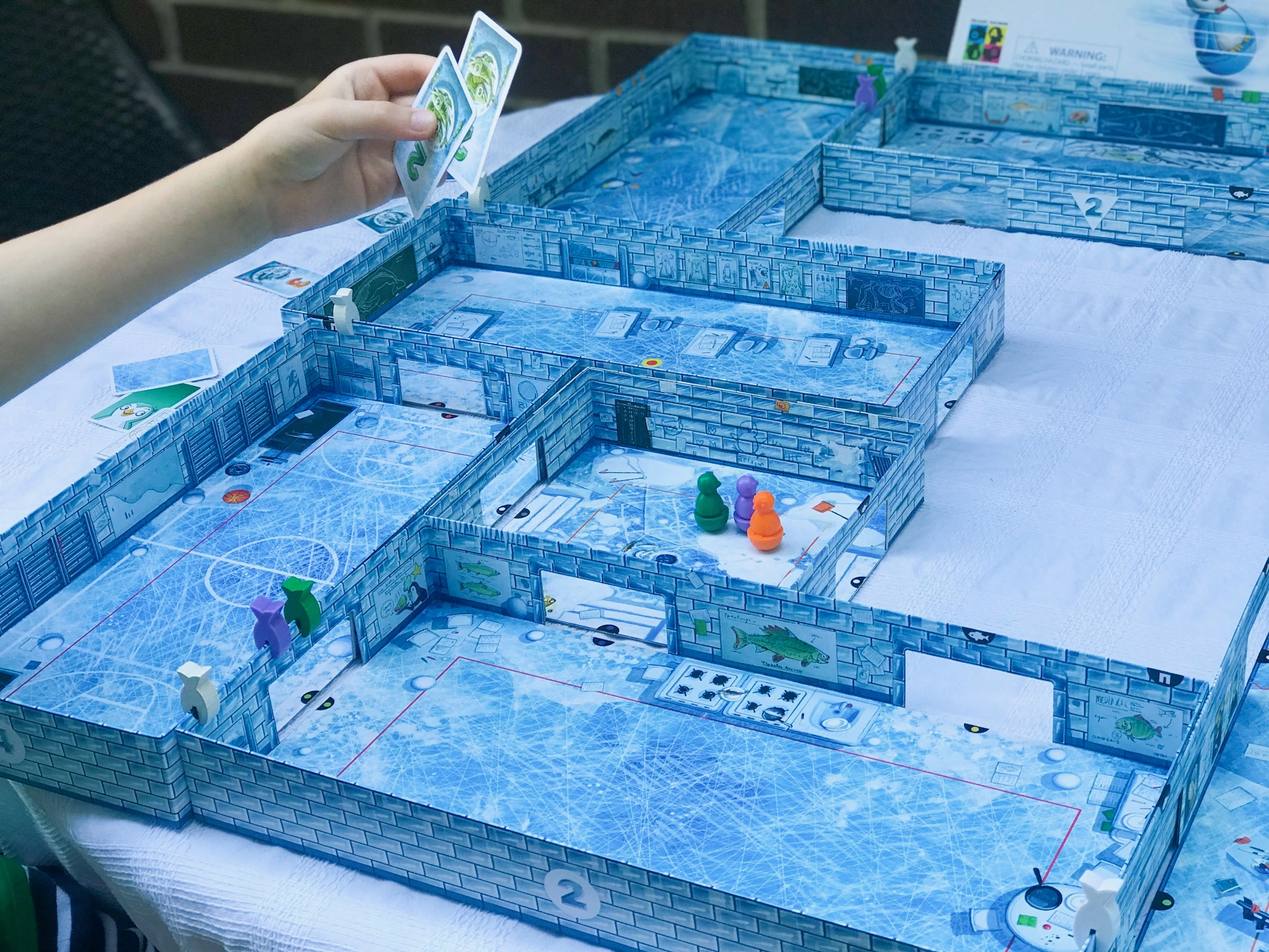 ICECOOL and ICECOOL2 family board game 11.jpeg