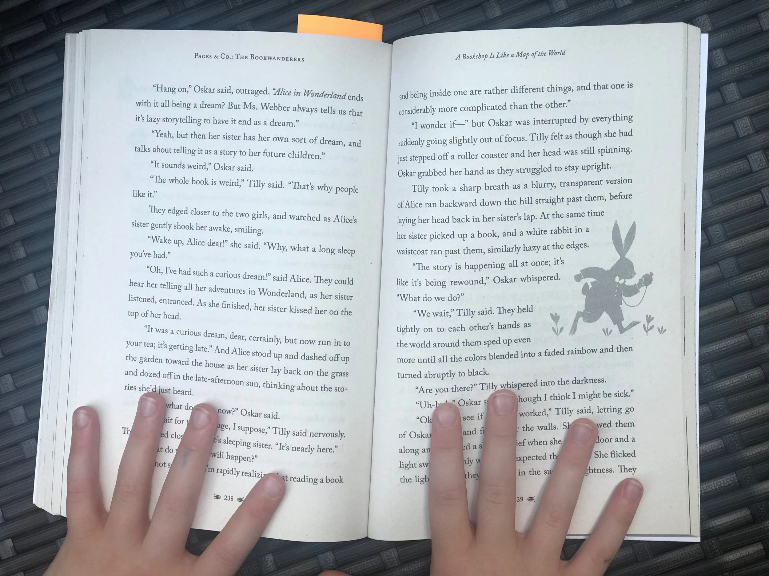 Pages and Co the Bookwanderers review 2.jpeg