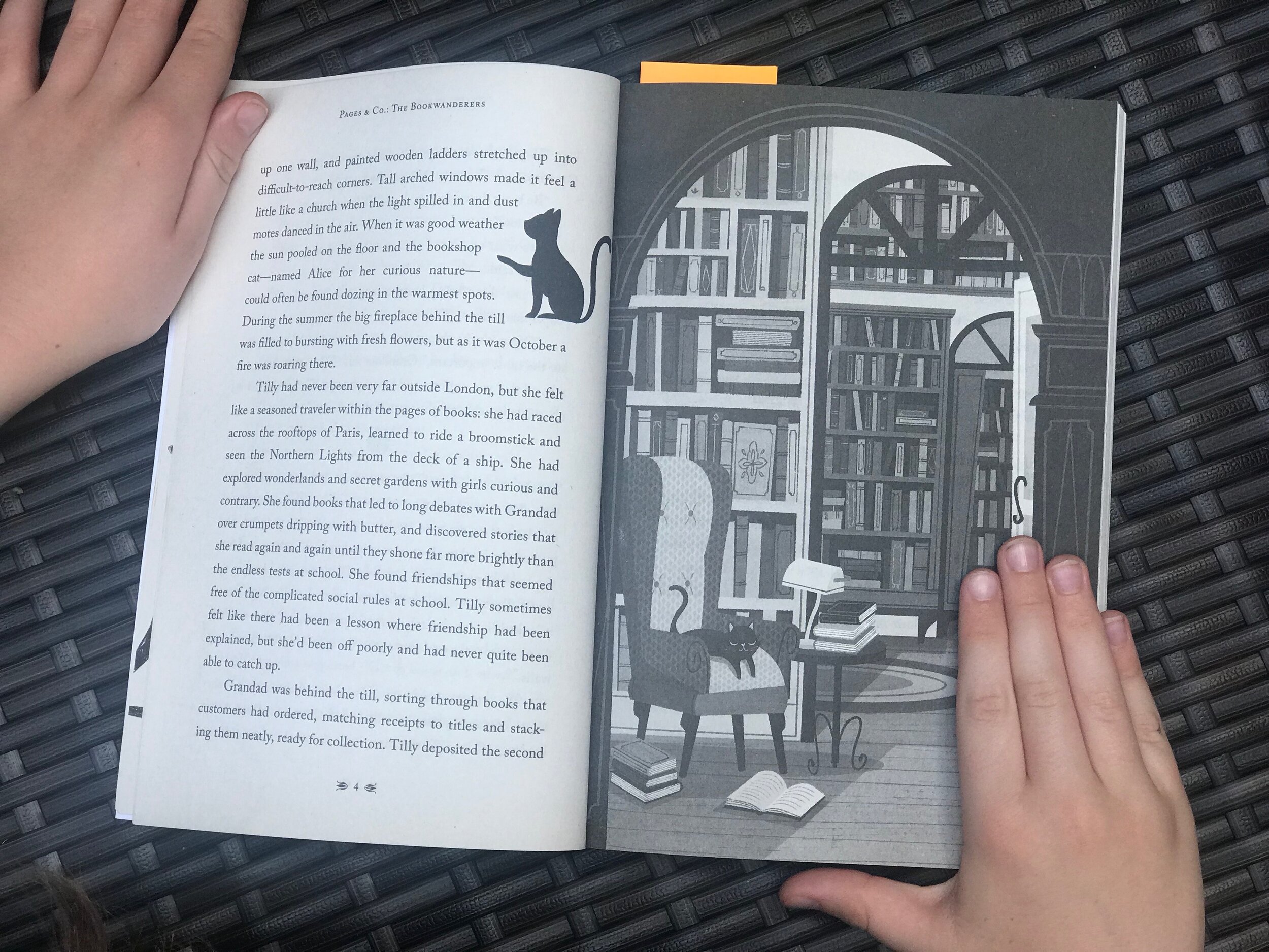 Pages and Co the Bookwanderers review 3.jpeg