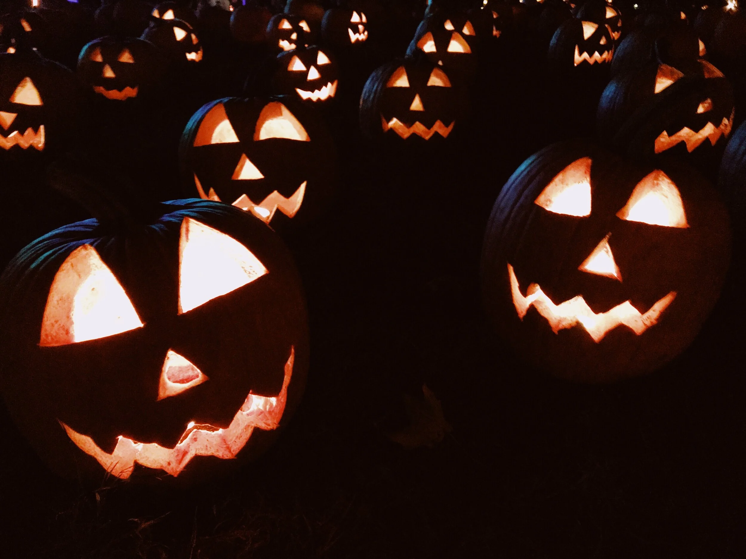 best halloween jokes for kids.jpeg