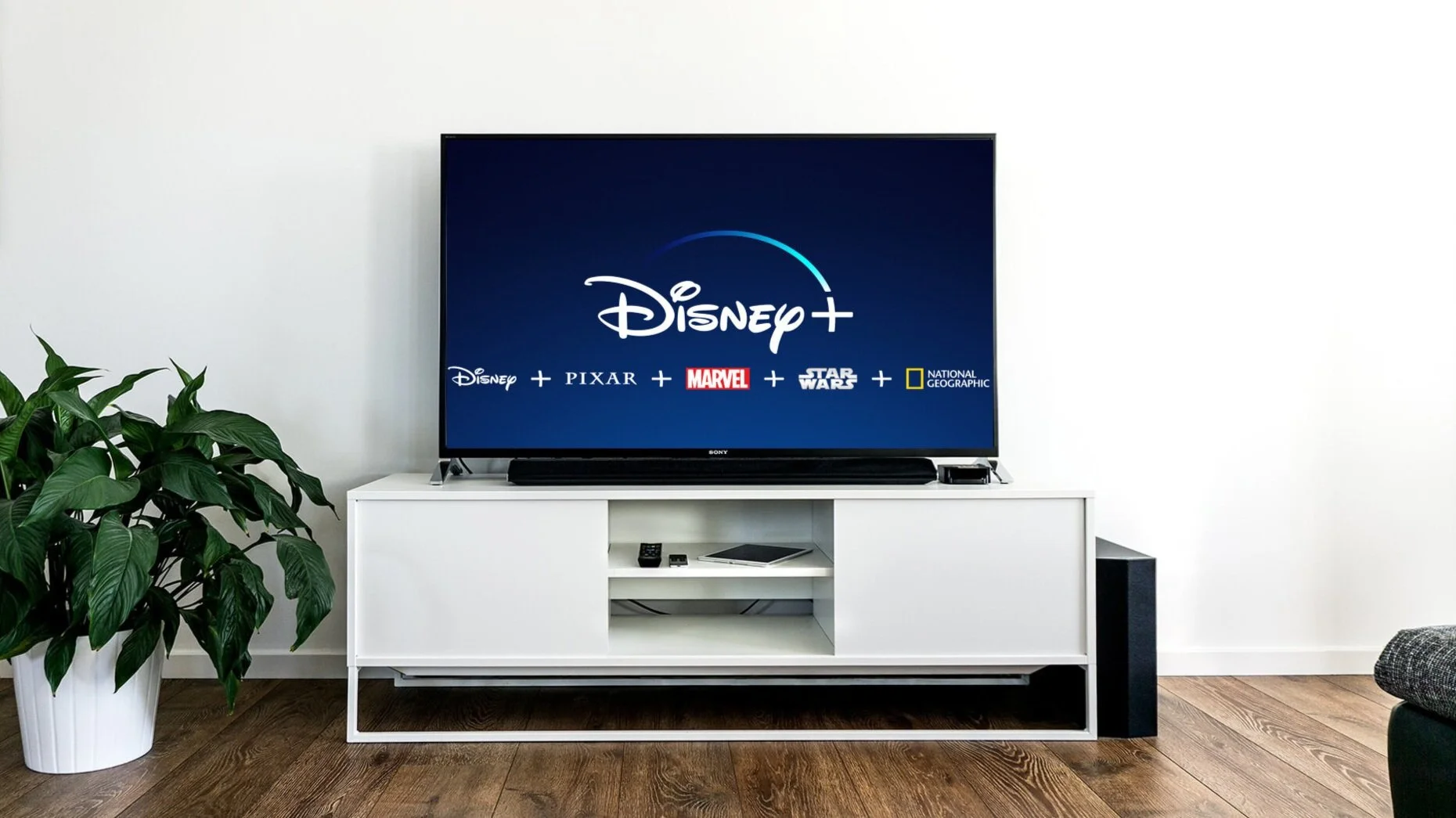 5 Shows on Disney Plus I'm Excited to Share with my Kids
