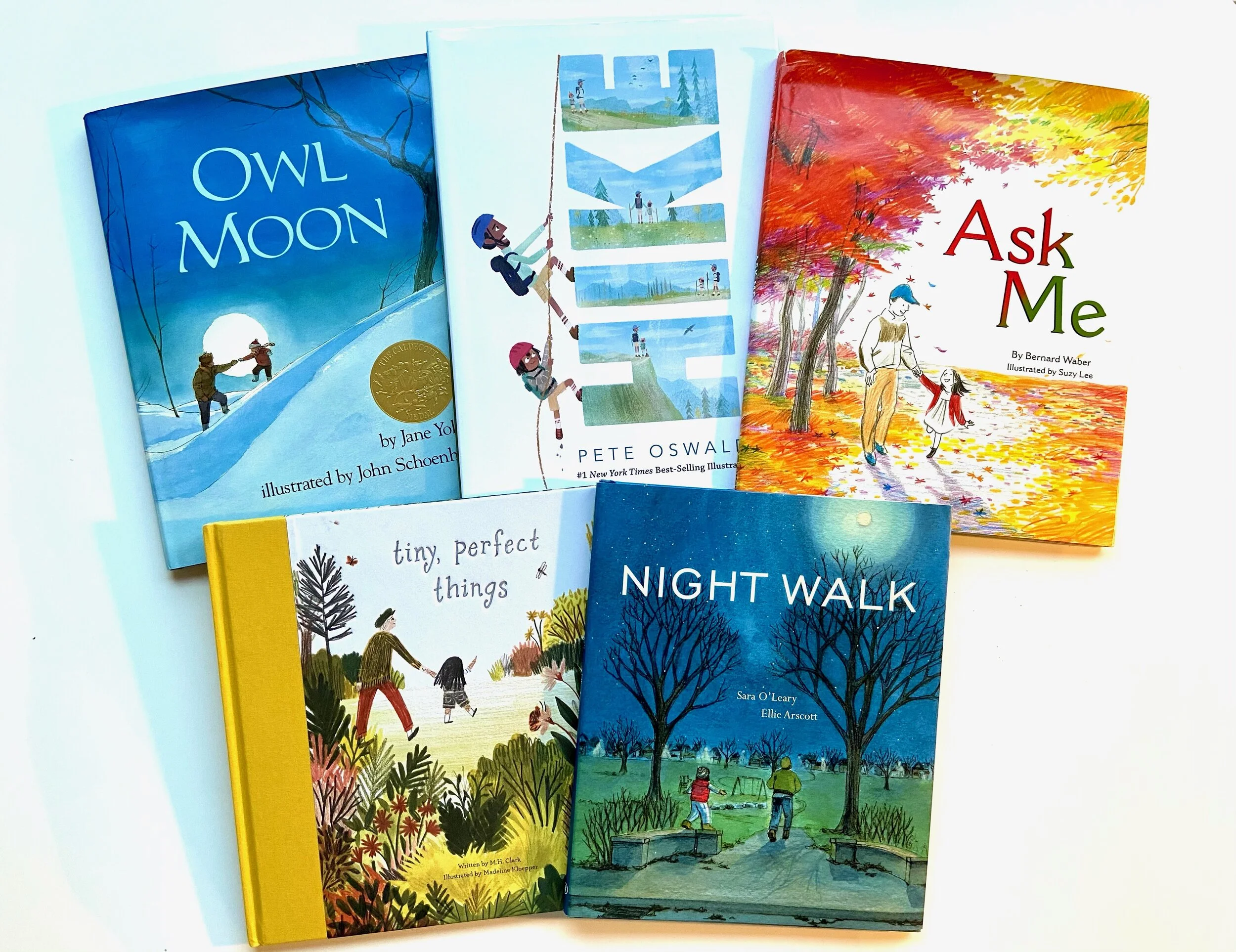 Picture Books about Taking a Walk with Dad
