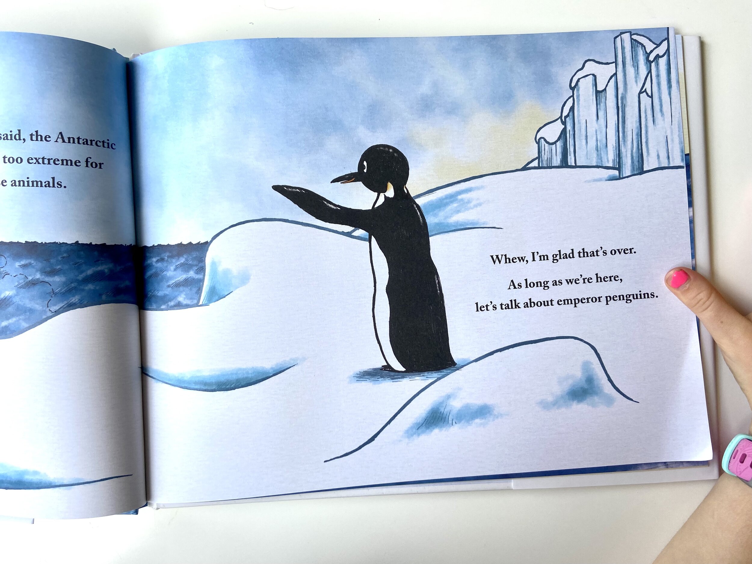 except antarctica picture book 4.jpeg