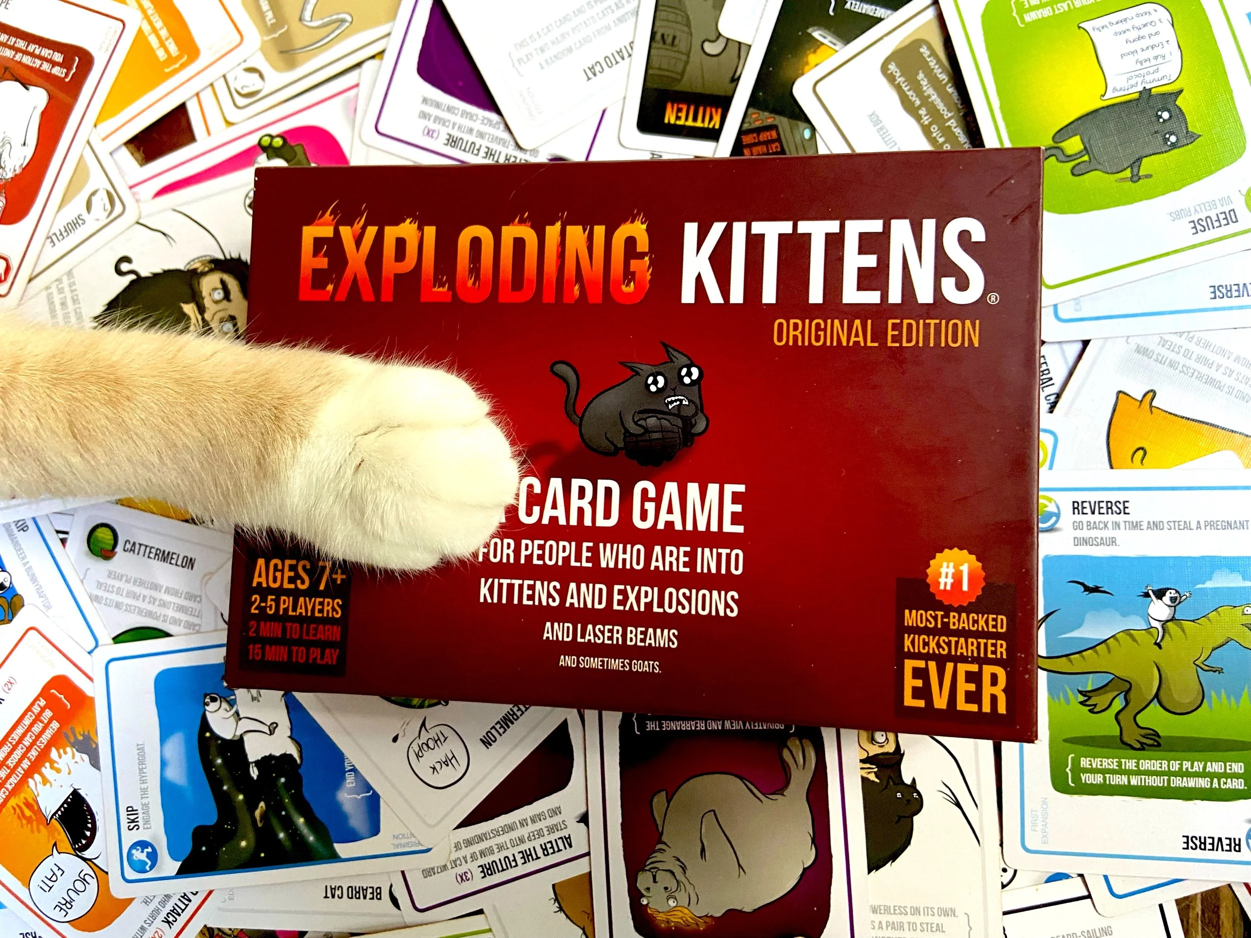 Exploding Kittens Still a Fun Pastime Years Later
