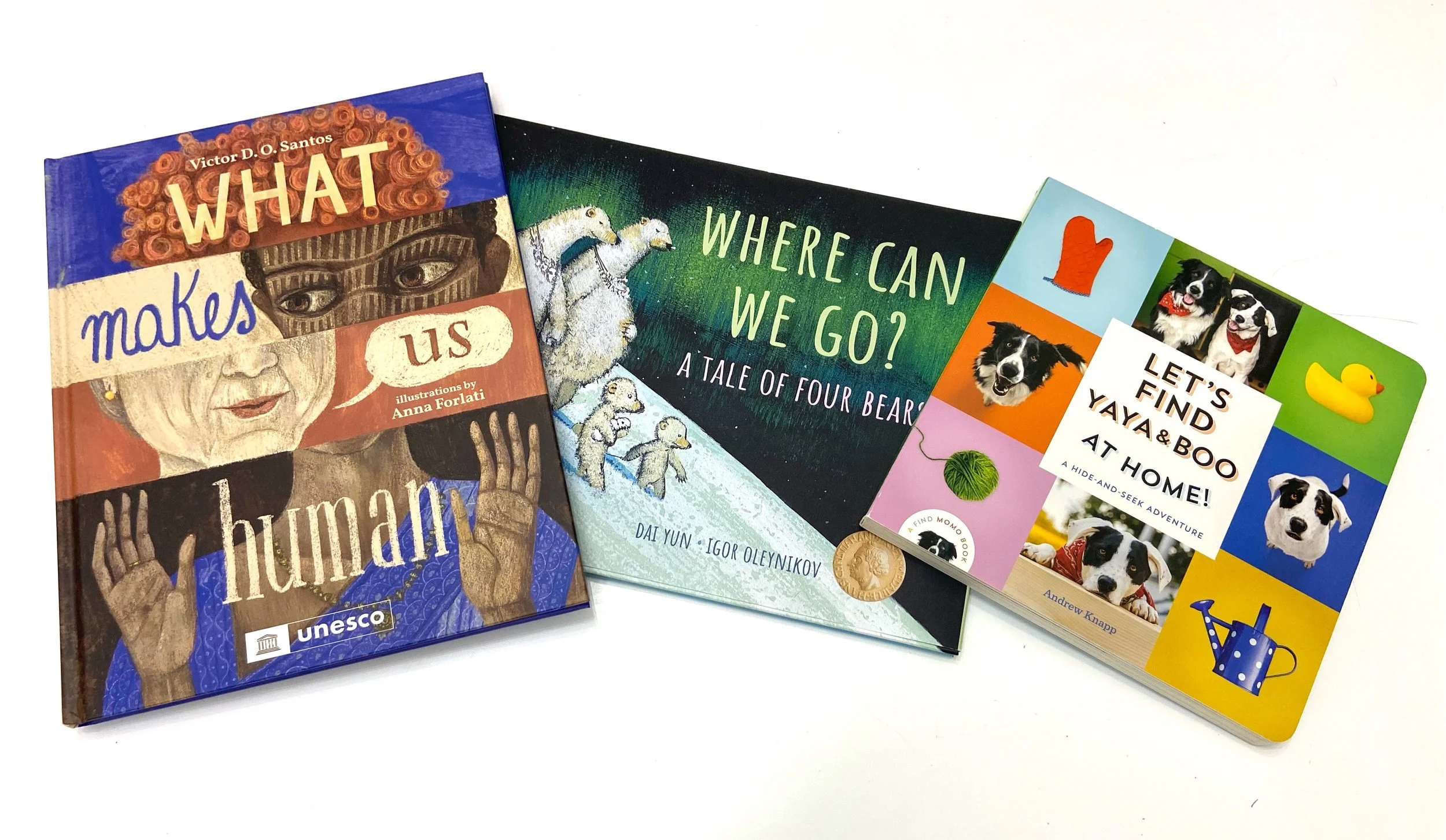 Dad's Bookshelf: February 2024