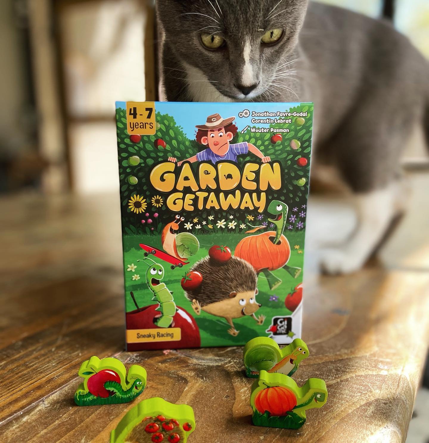 Just got in Garden Getaway to test from @hachetteboardgamesusa and @gigamicworld. Going to try this cute one out with the kids soon. It&rsquo;s a racing game for ages 4-7. Interesting because a lot of times games would say 4+ but this one provides an