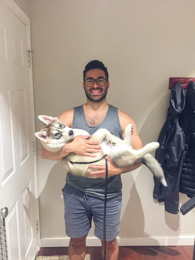 echo puppy 2.webp