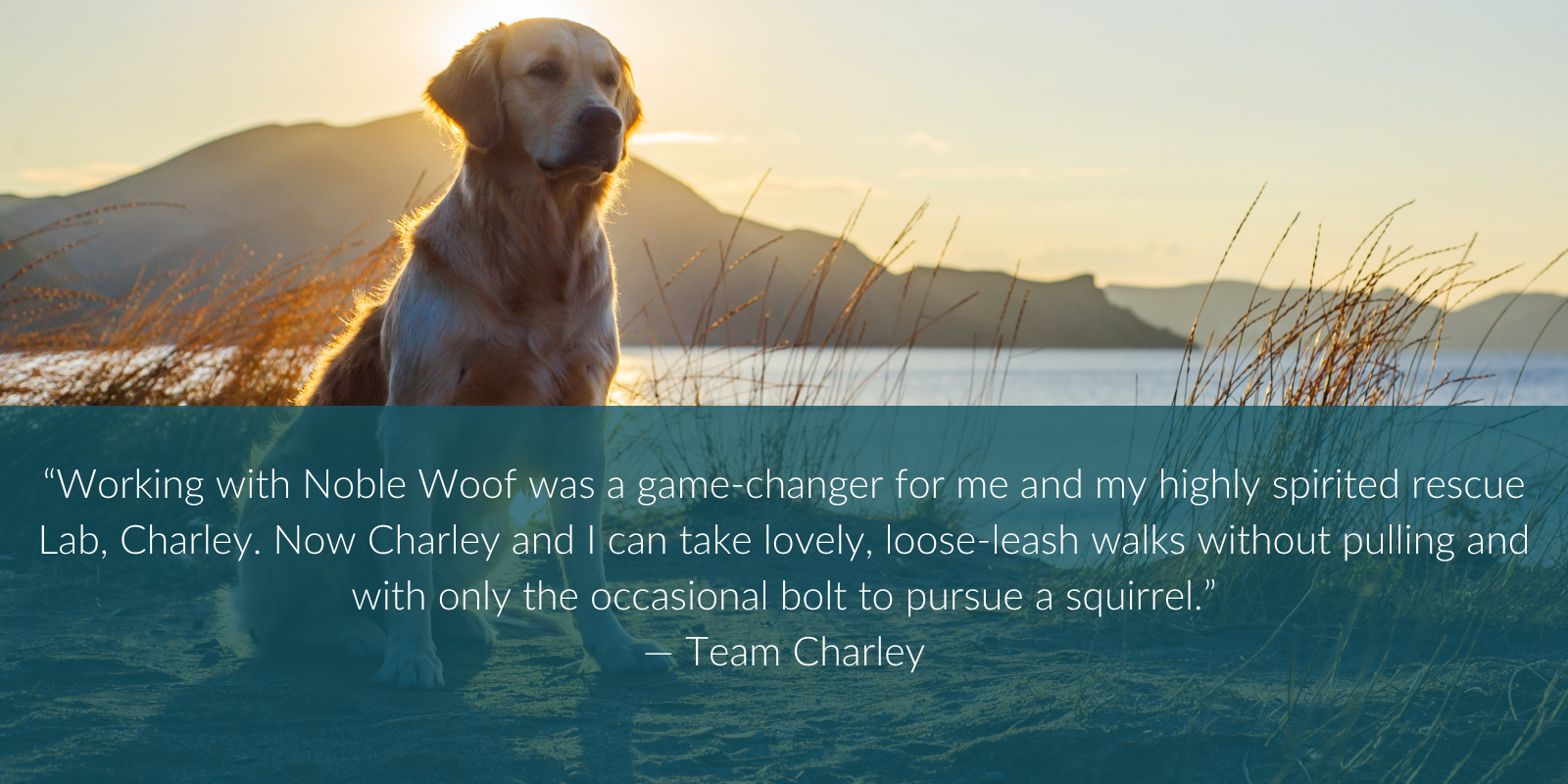 “Working with Noble Woof was a game-changer for me and my highly spirited rescue Lab, Charley. Now Charley and I can take lovely, loose-leash walks without pulling and with only the occasional bolt to pursue a squirrel.” — Team Charley
