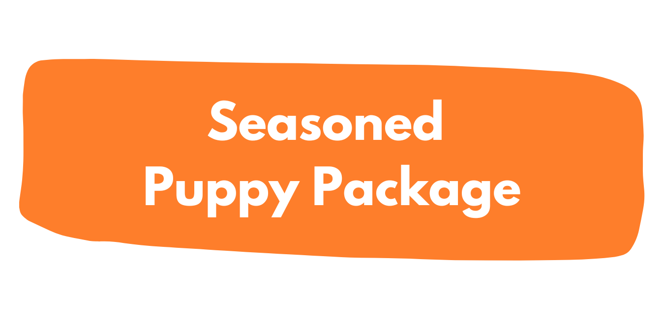 Portland Dog Training Puppy Biting & Potty Training, Puppy Training