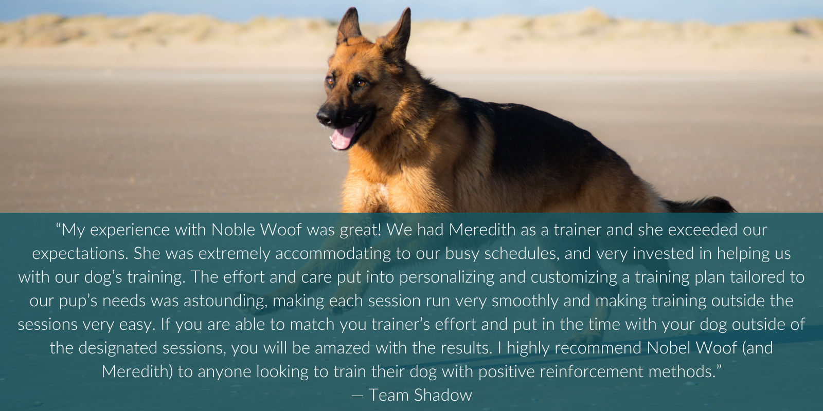 I highly recommend Nobel Woof (and Meredith) to anyone looking to train their dog with positive reinforcement methods.”