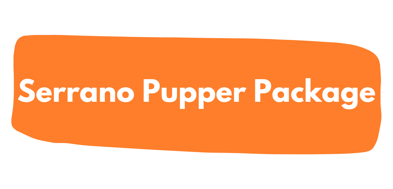 Dog Aggression Training Portland Oregon — Noble Woof Dog Training